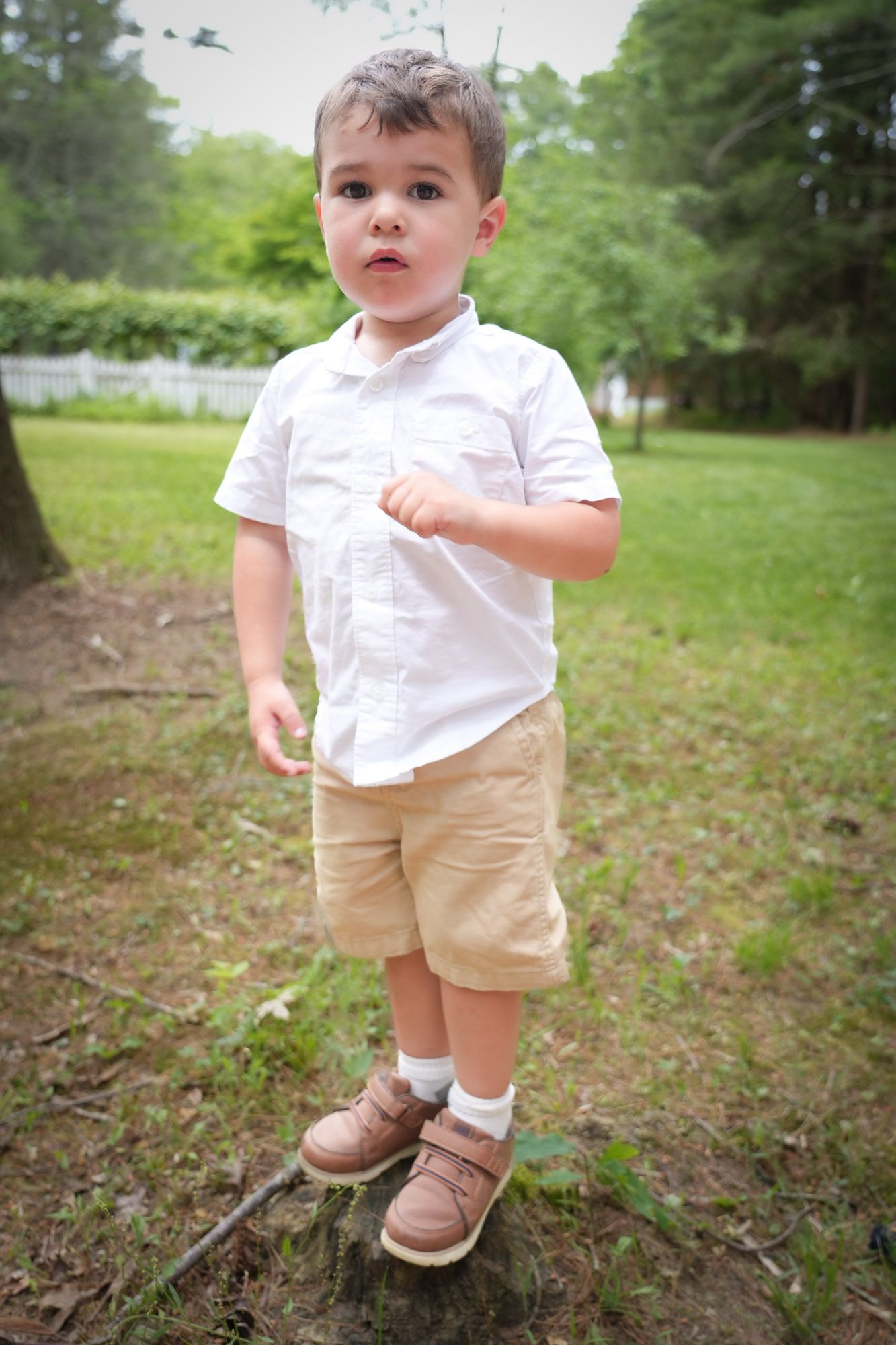Toddler boy in white shirt and khaki shorts standing on a tree stump in a lush green park.
