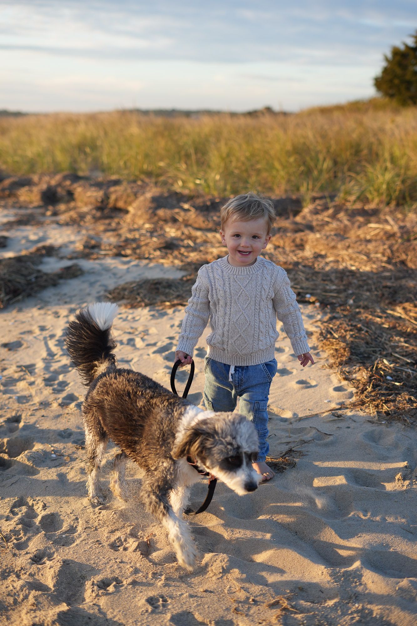 A happy toddler walks a fluffy dog on a leash through a sandy beach path at golden hour.