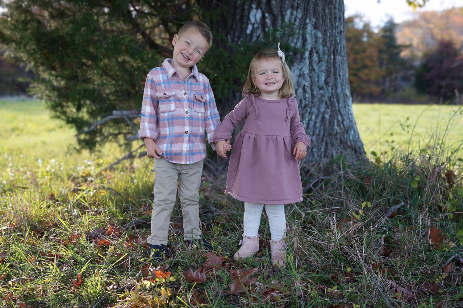 Two young siblings holding hands near a tree, boy in plaid shirt and girl in pink dress.