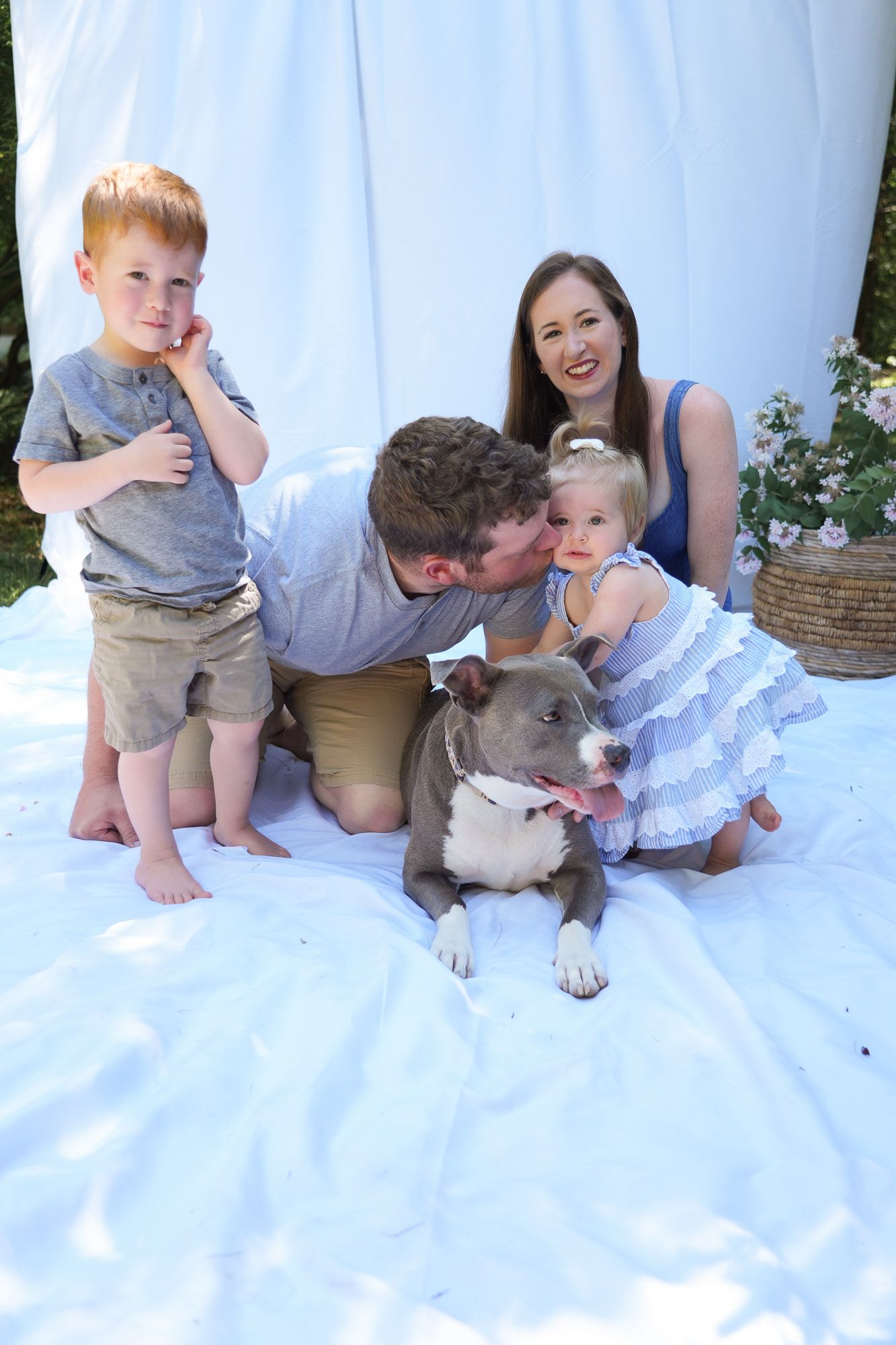 Father kisses toddler daughter while son stands nearby with mother and pit bull in family portrait.