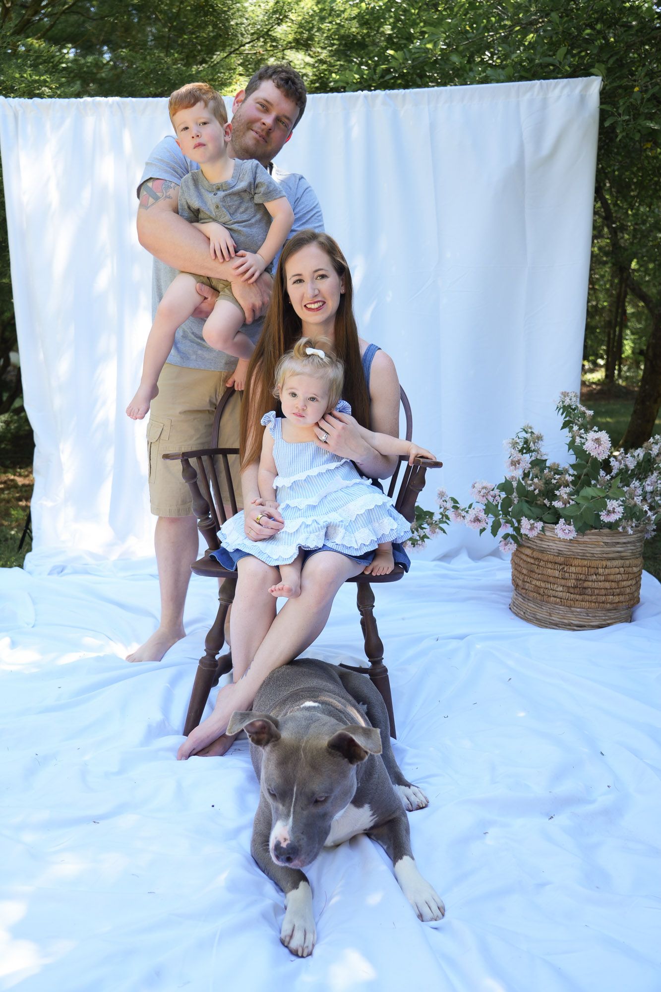 Family of four with gray pit bull poses in front of white backdrop with pink roses outdoors.