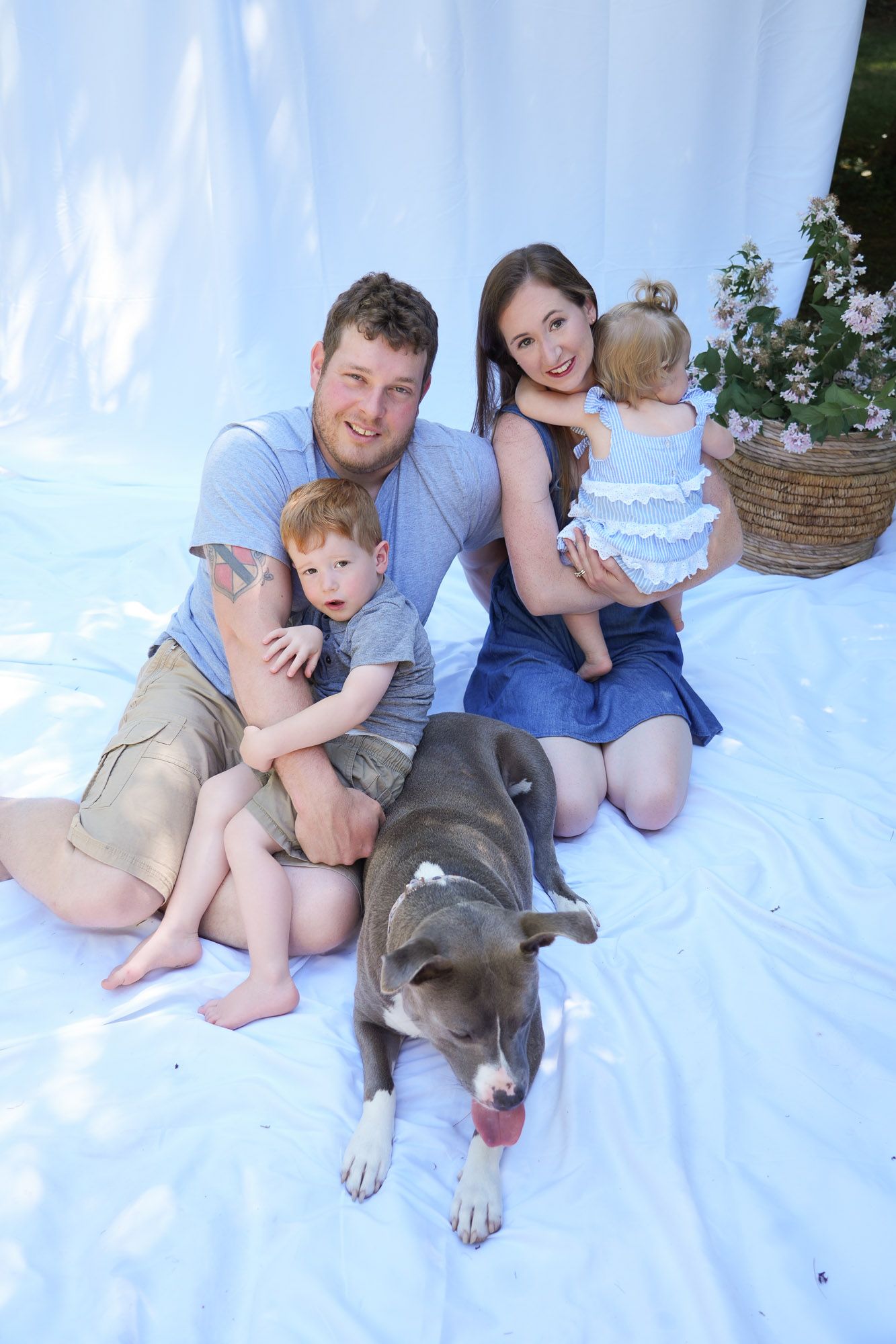 Happy family with two young children and a gray pit bull dog posing on white backdrop outdoors.