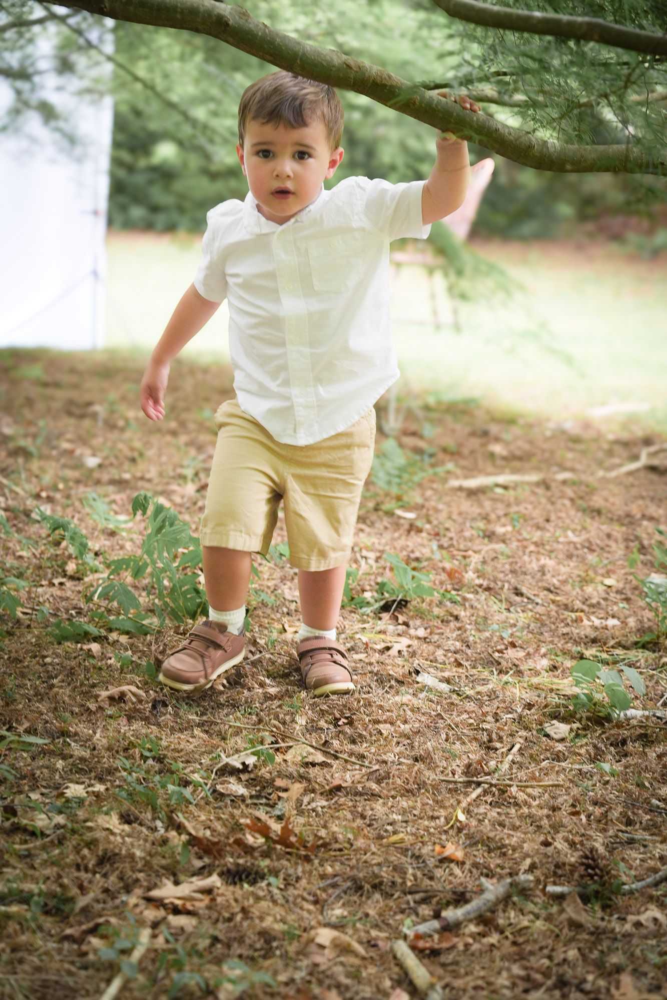 Young boy in white shirt and khaki shorts walking through wooded area holding onto a tree branch.