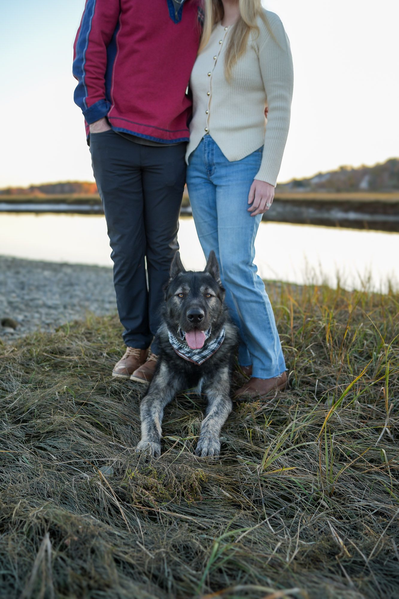 German Shepherd dog lying in grass between couple standing by a peaceful marsh at sunset.