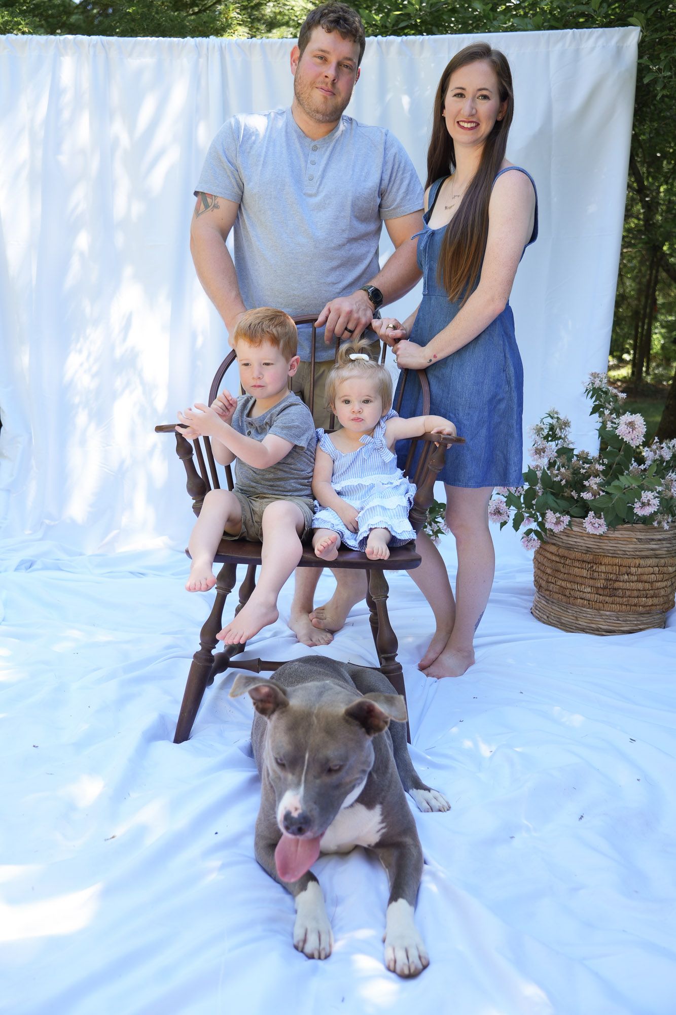 Family portrait with two children sitting on wooden chair flanked by parents and pit bull dog outdoors.