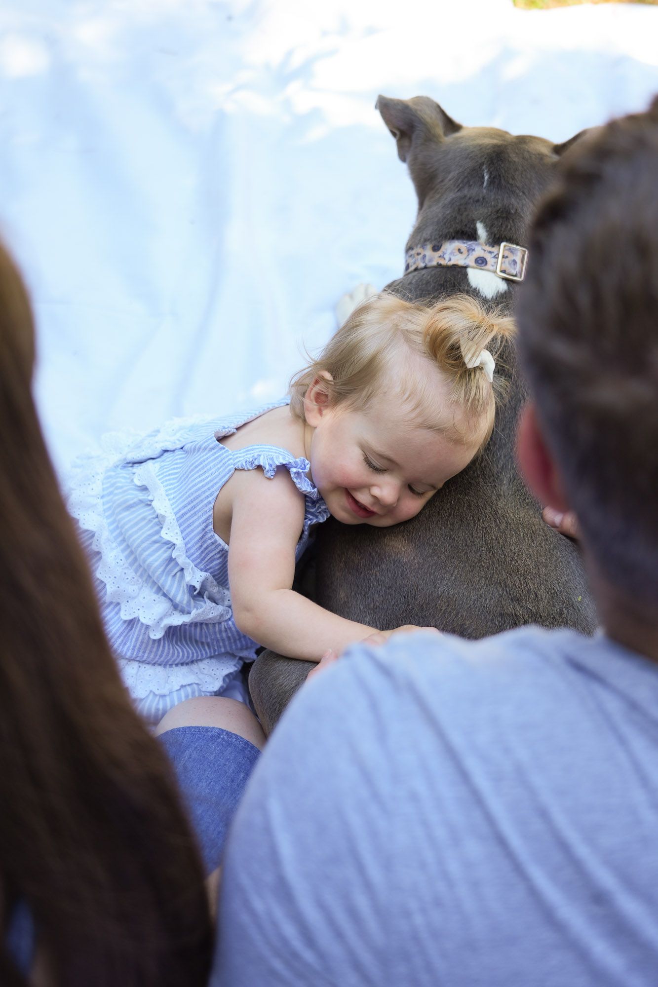Smiling blonde toddler girl in blue dress hugging a gray pit bull dog during family photo session.