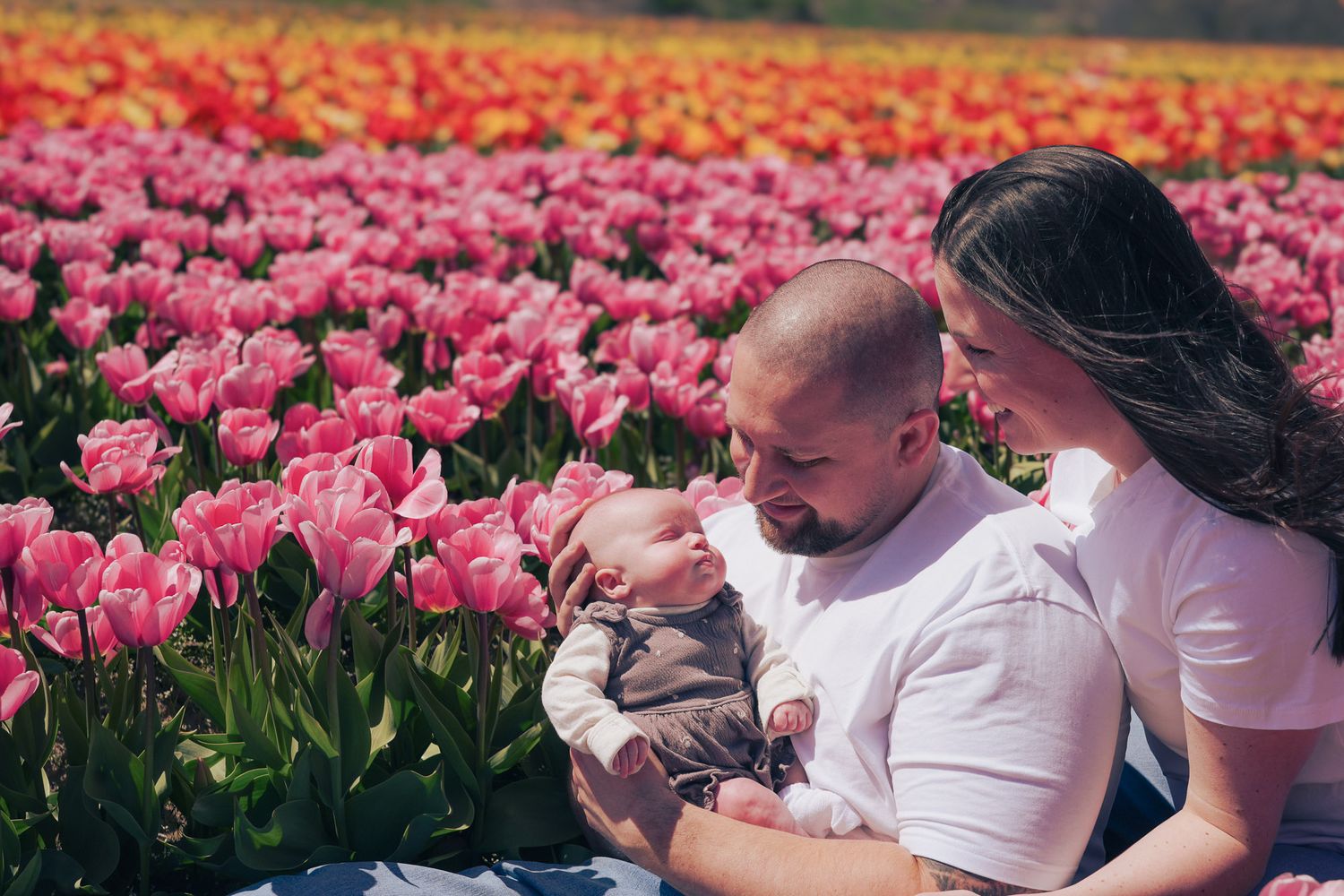 Parents sharing a tender moment with newborn in a tulip field.