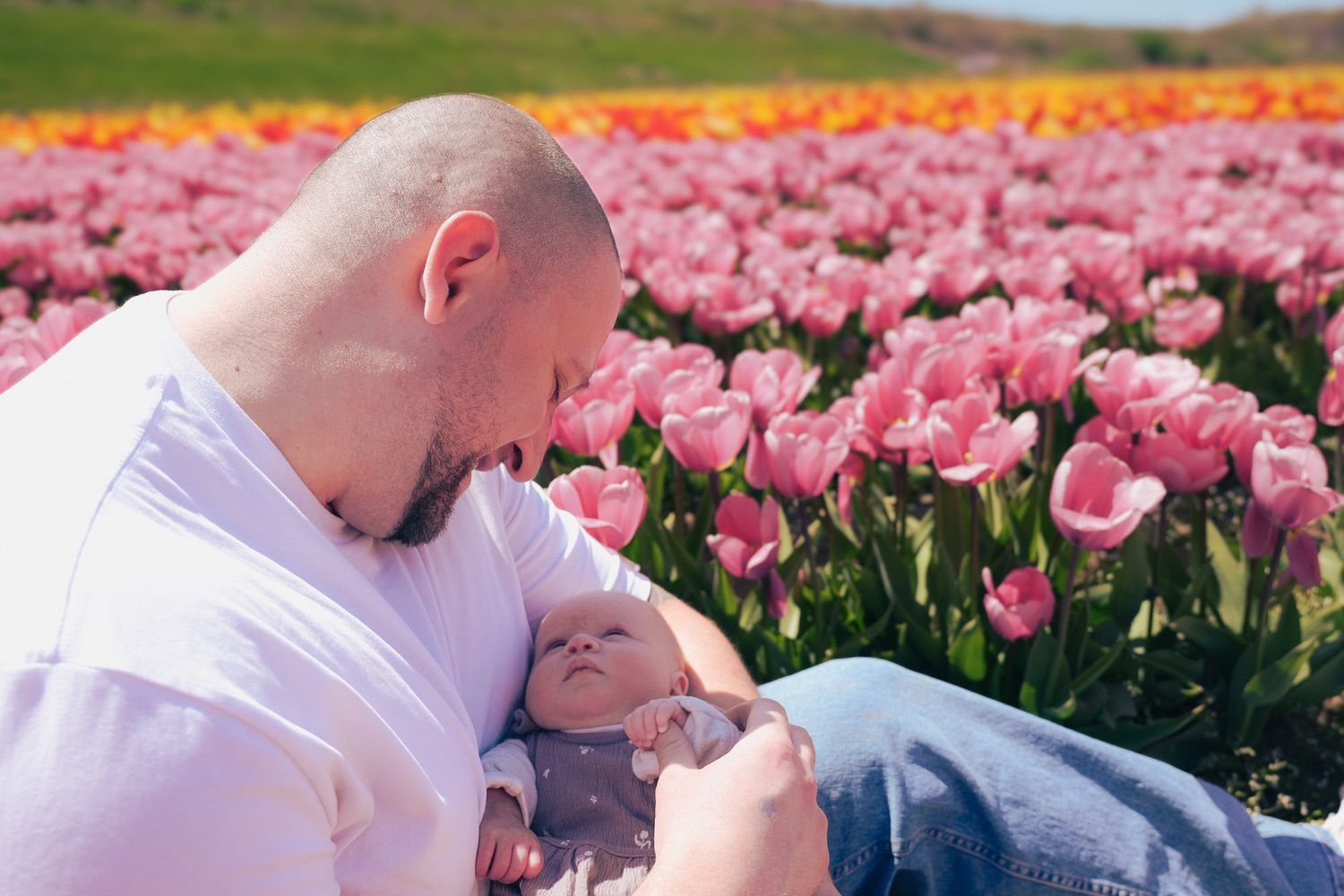 A father tenderly holds his newborn baby while reclining in a stunning pink tulip field.