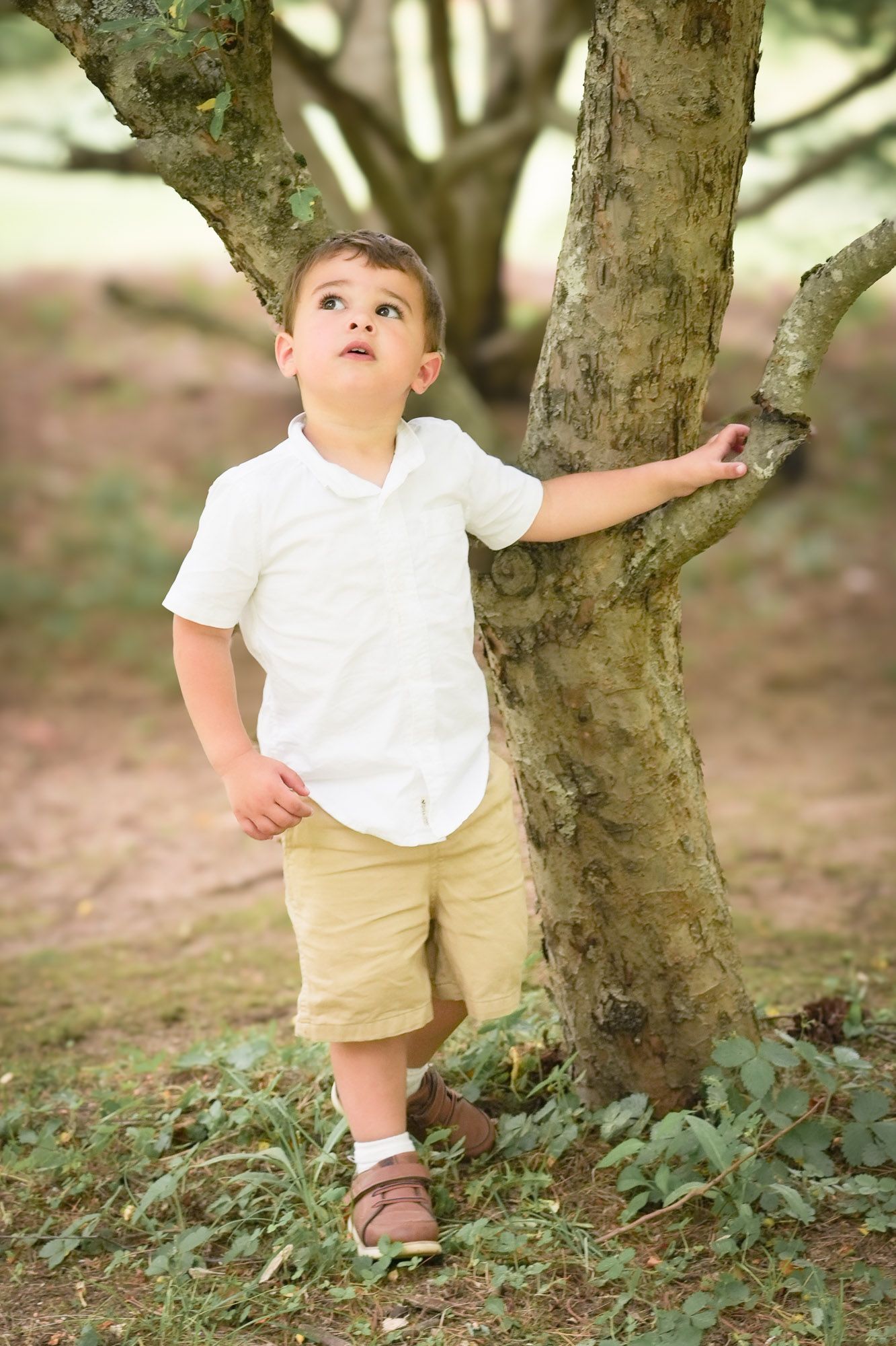Young boy in white shirt and khaki shorts looking up while leaning against a tree trunk in a park.