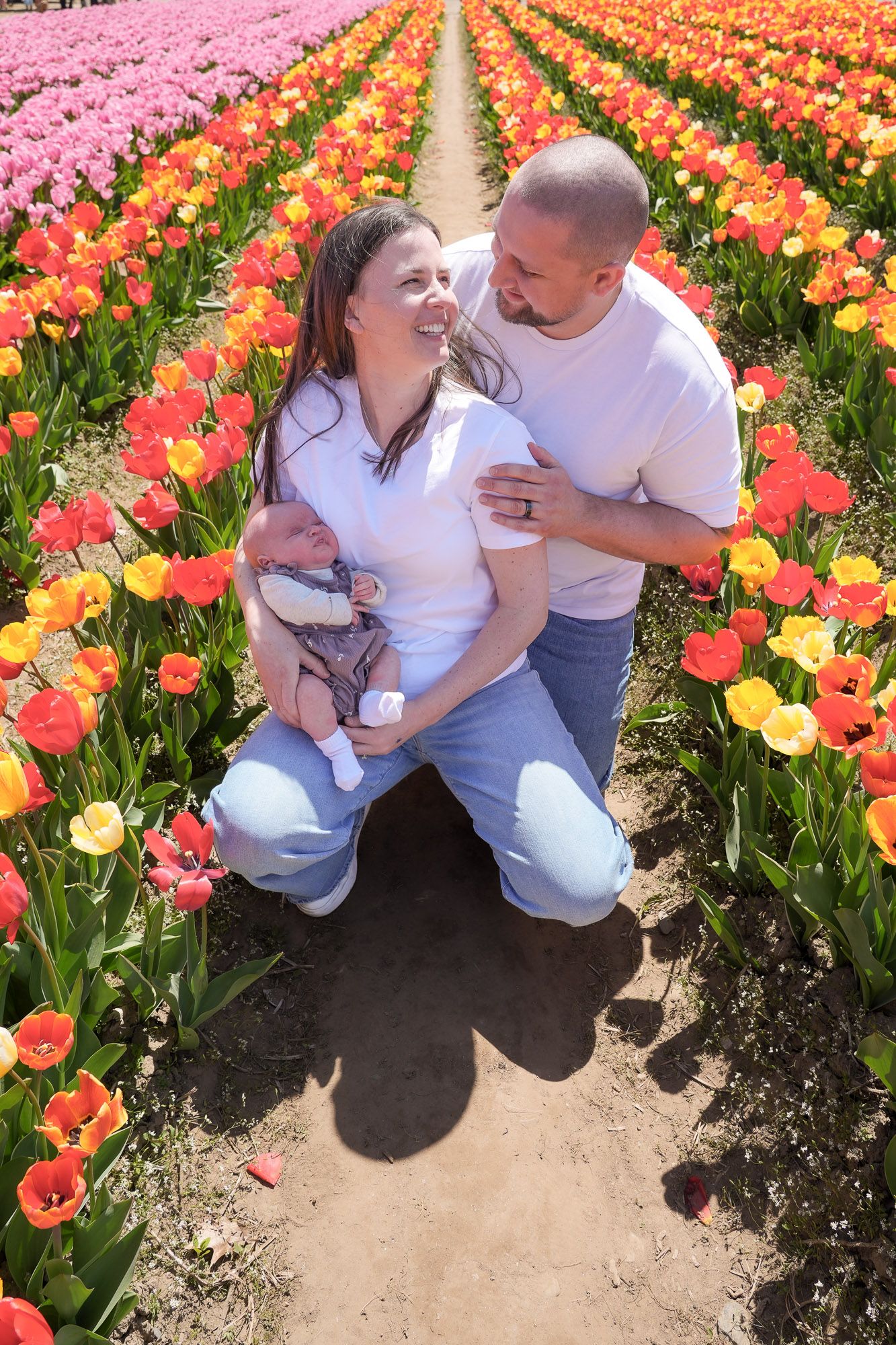 A happy couple kneels in a colorful tulip field holding their newborn baby, smiling at each other.