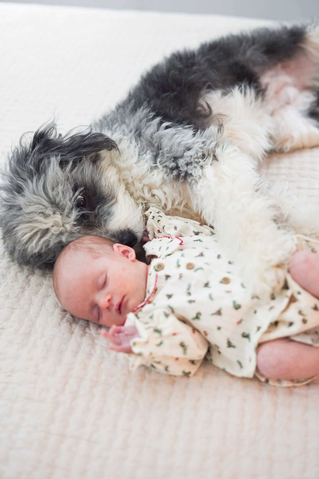 Fluffy dog cuddling peacefully with sleeping newborn baby on soft white blanket.