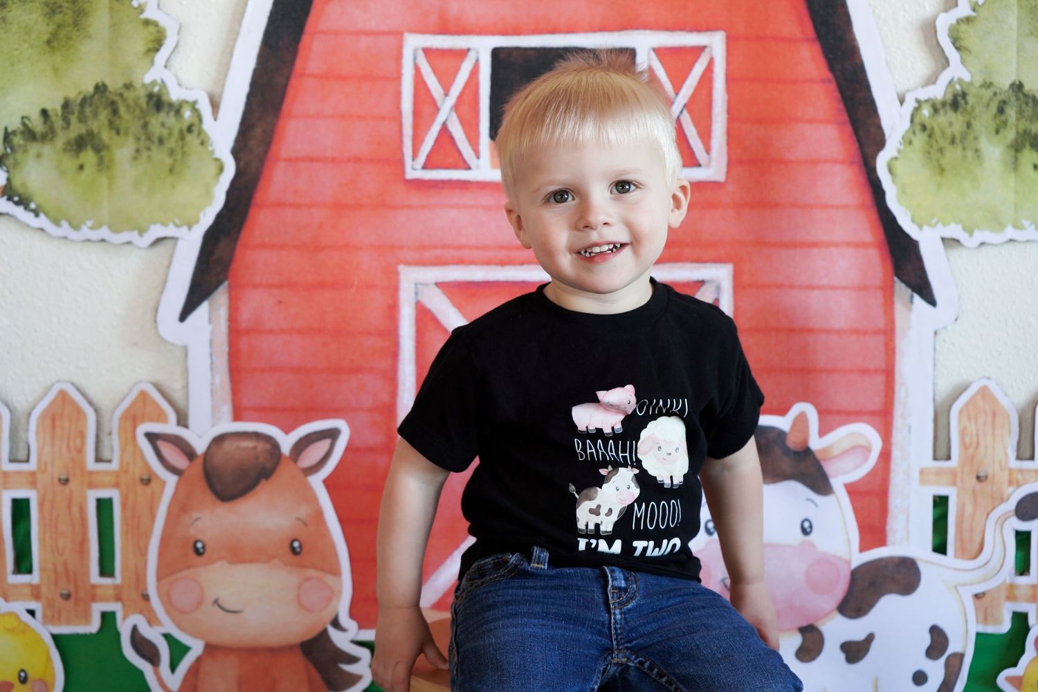 Happy toddler boy in a black farm animal shirt sitting in front of a red barn birthday backdrop.