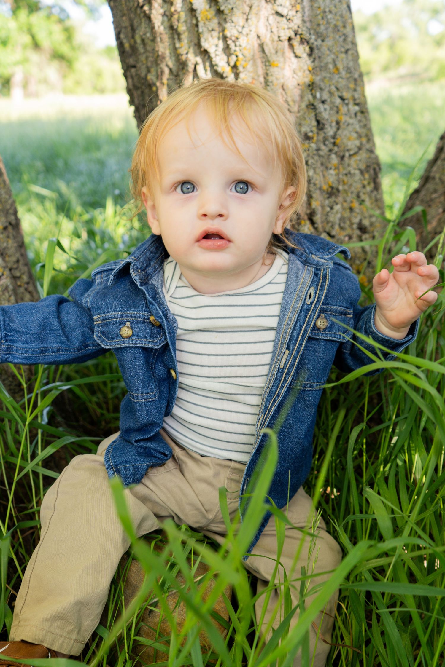 Blond blue-eyed toddler boy in a denim jacket and striped shirt sitting in tall green grass near a tree.