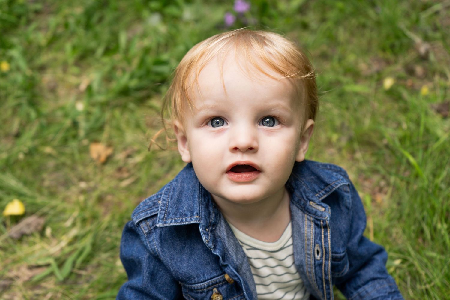 Adorable blond toddler with blue eyes wearing a denim jacket sitting on green grass outdoors.