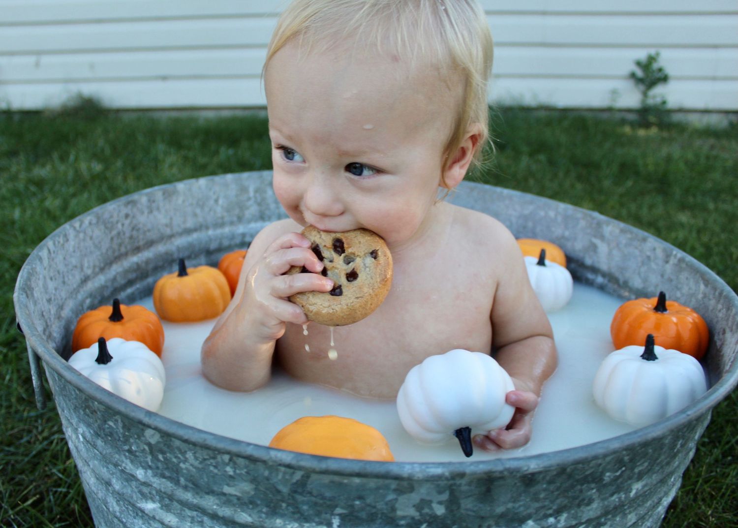 Adorable baby sitting in galvanized tub with milk bath surrounded by mini pumpkins, eating a cookie outdoors.