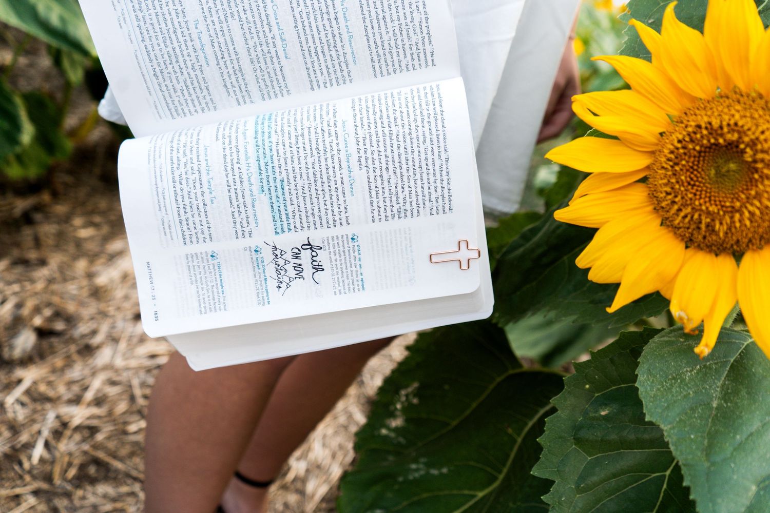 Open Bible held beside a bright sunflower in a sunny garden setting.