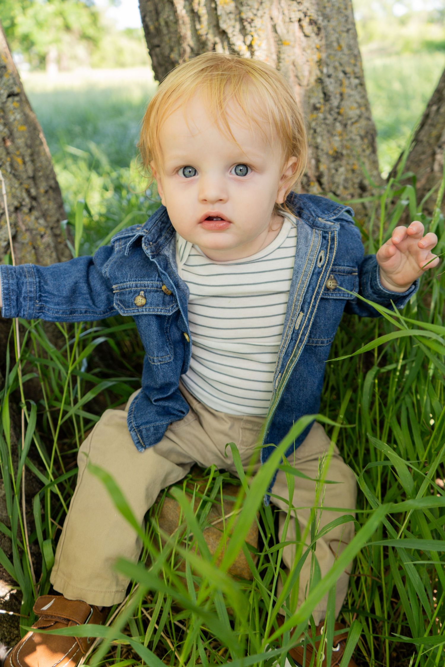 Curious blond toddler boy in a denim jacket sitting in tall green grass between two trees outdoors.