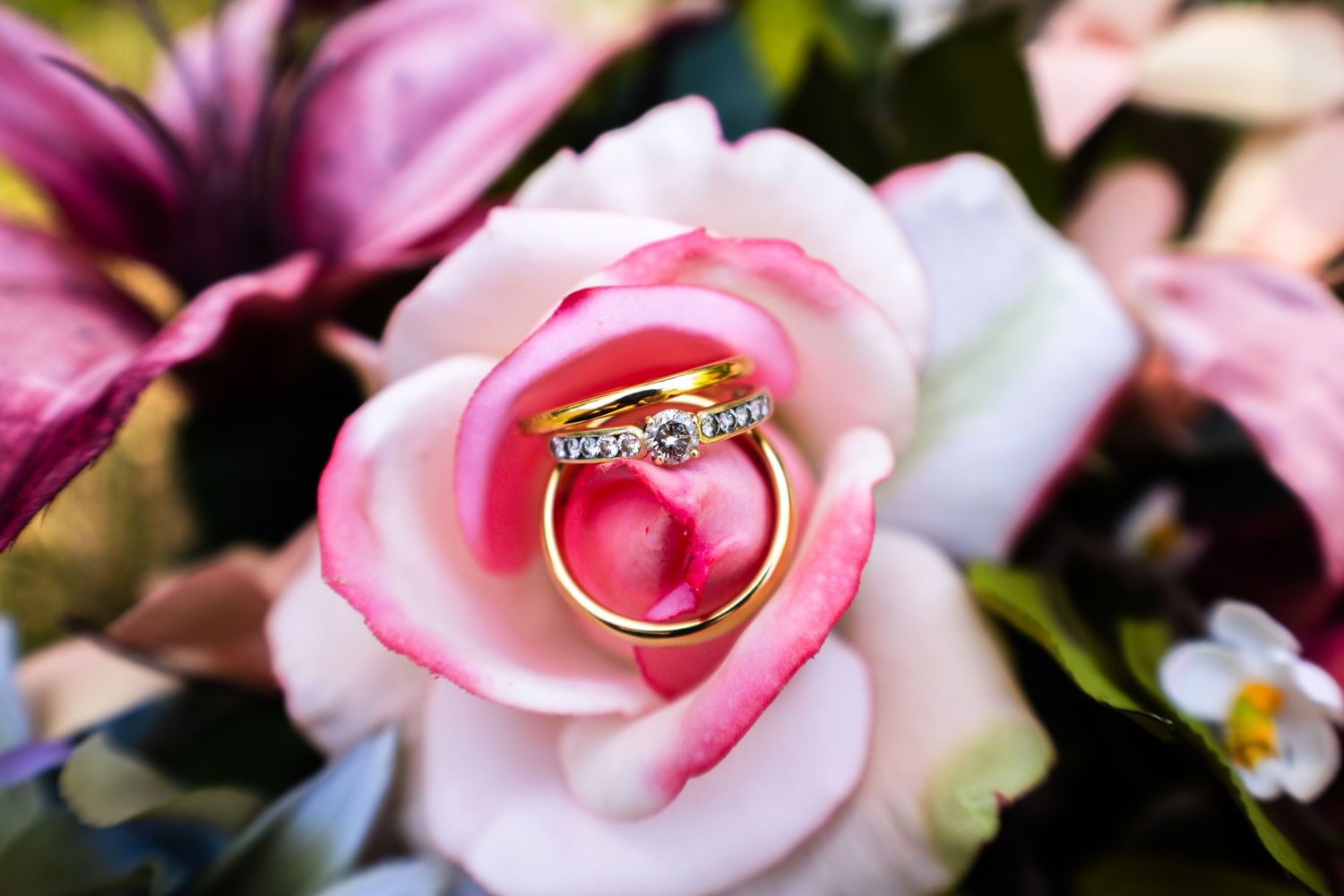 Gold diamond engagement ring and wedding band nestled inside a pink rose with purple flowers in background.