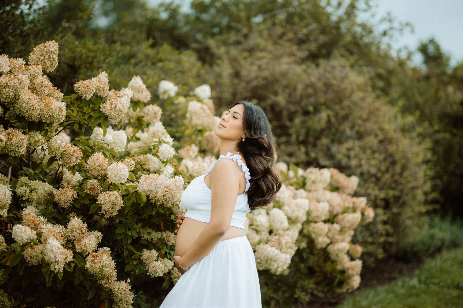 Elegant maternity portraits captured among blooming white hydrangea bushes in a garden setting.