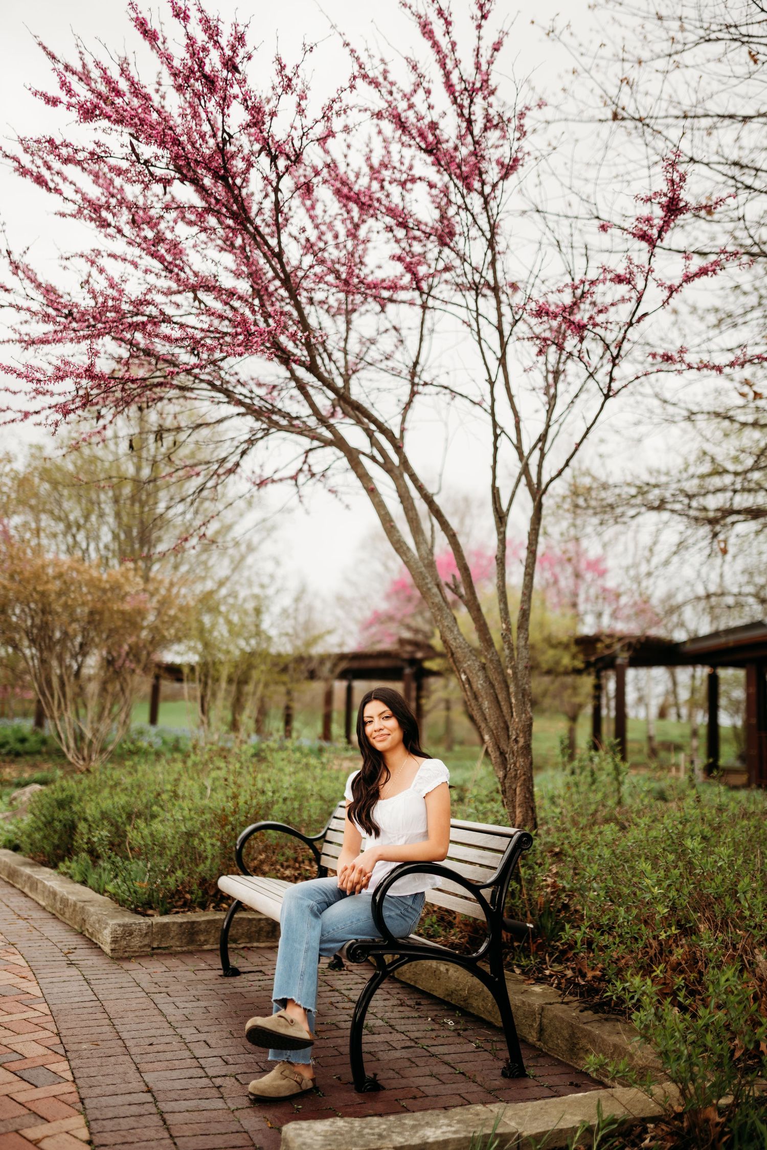 Person sits on park bench under blooming pink cherry blossom trees in spring garden setting.