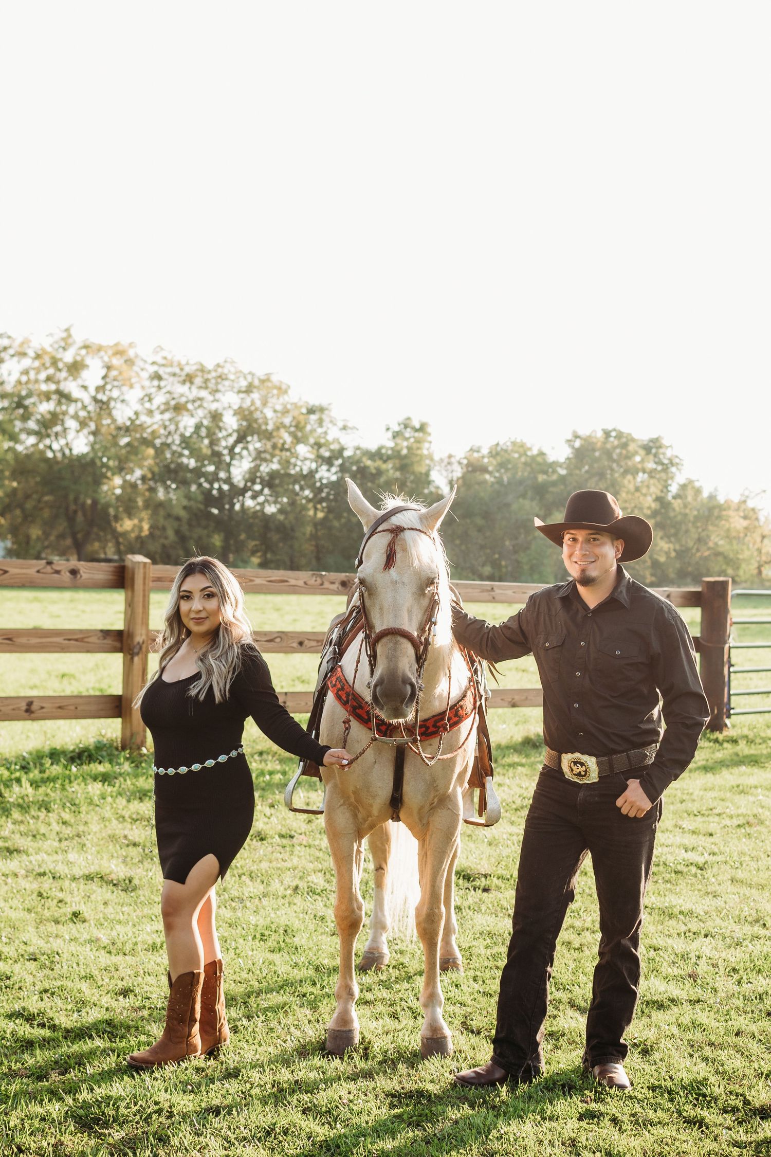 Couple posing with their draft horse in a sunlit pasture.
