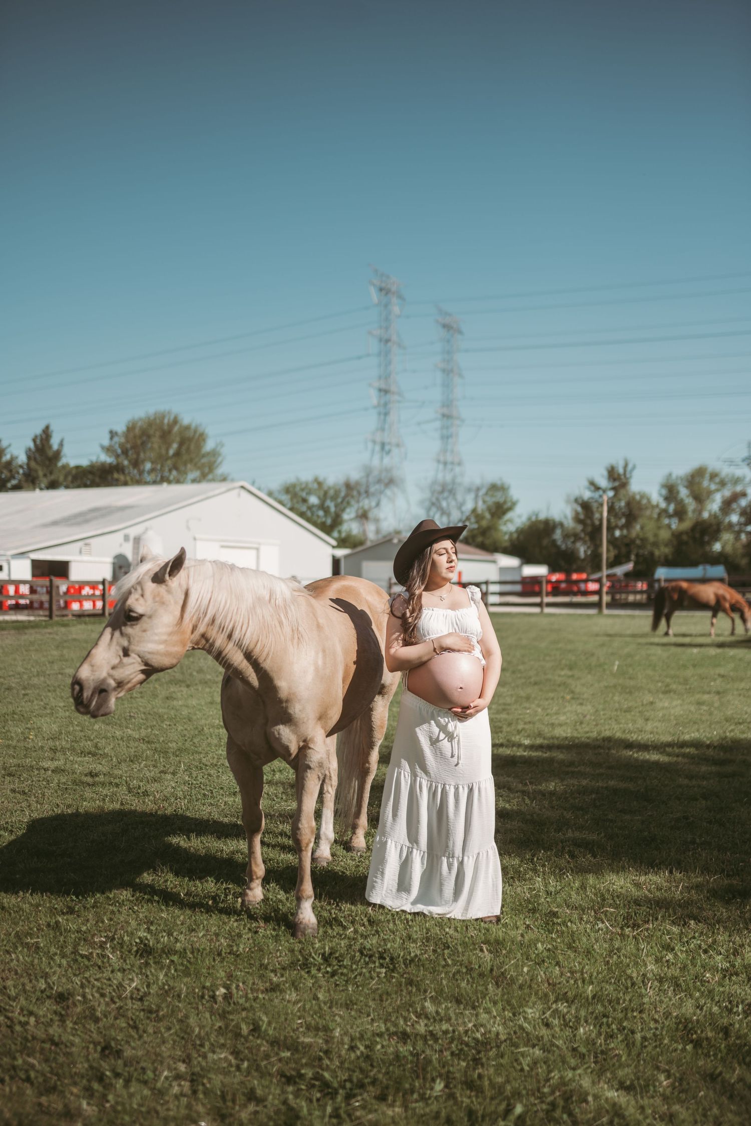 Rustic maternity photo with white horse in countryside setting.
