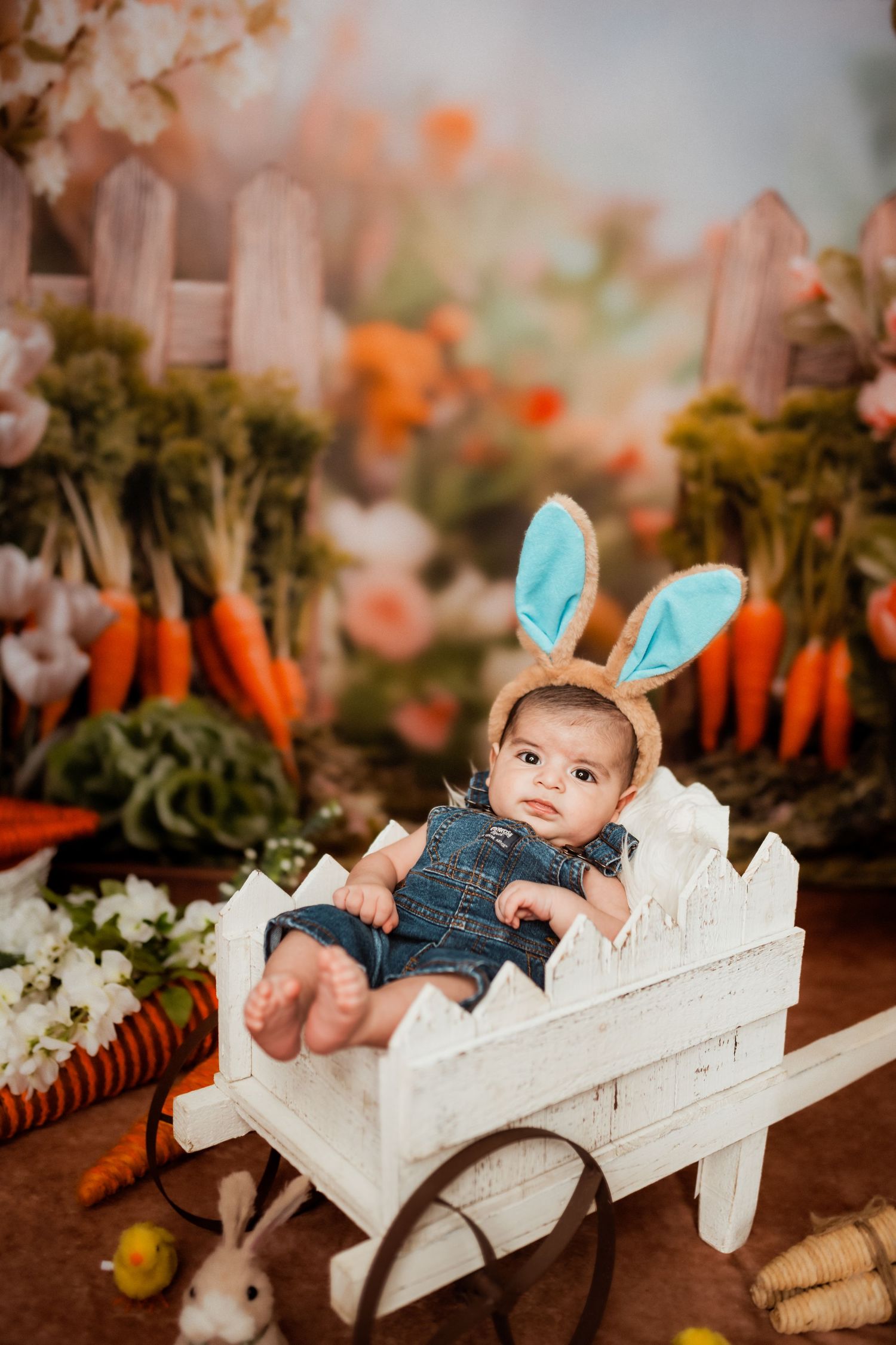 Baby wearing denim in white wooden Easter cart surrounded by spring decorations and carrots.