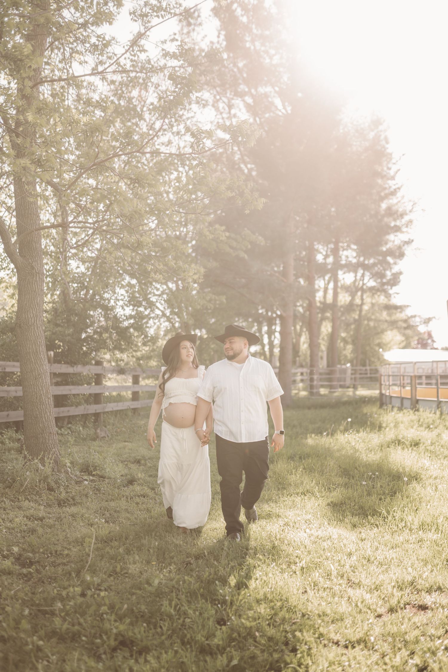 A couple walks hand in hand through a sunlit field with pine trees in the background.