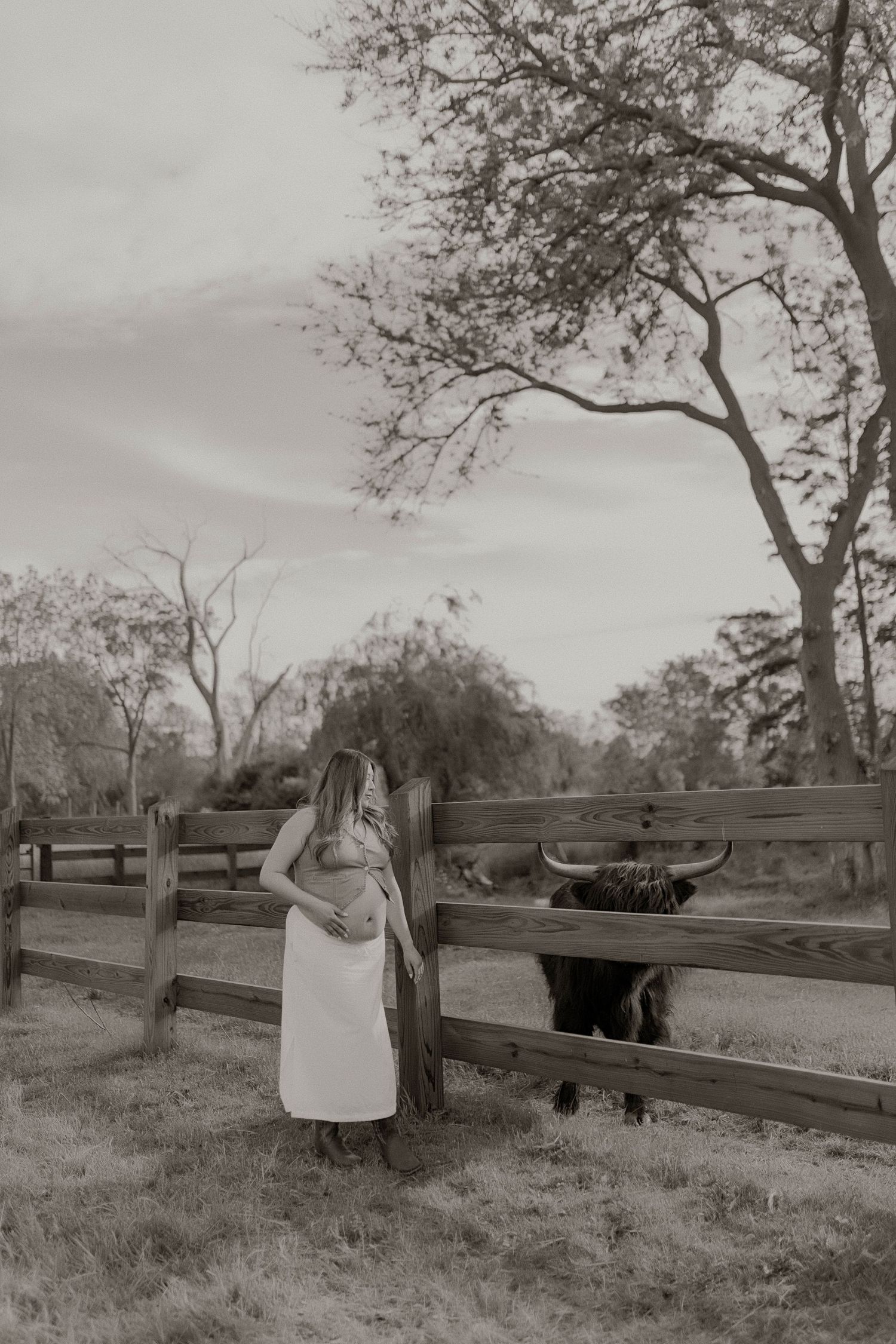 Pregnant woman in white skirt stands by wooden fence near longhorn cattle in sepia-toned outdoor maternity photo.
