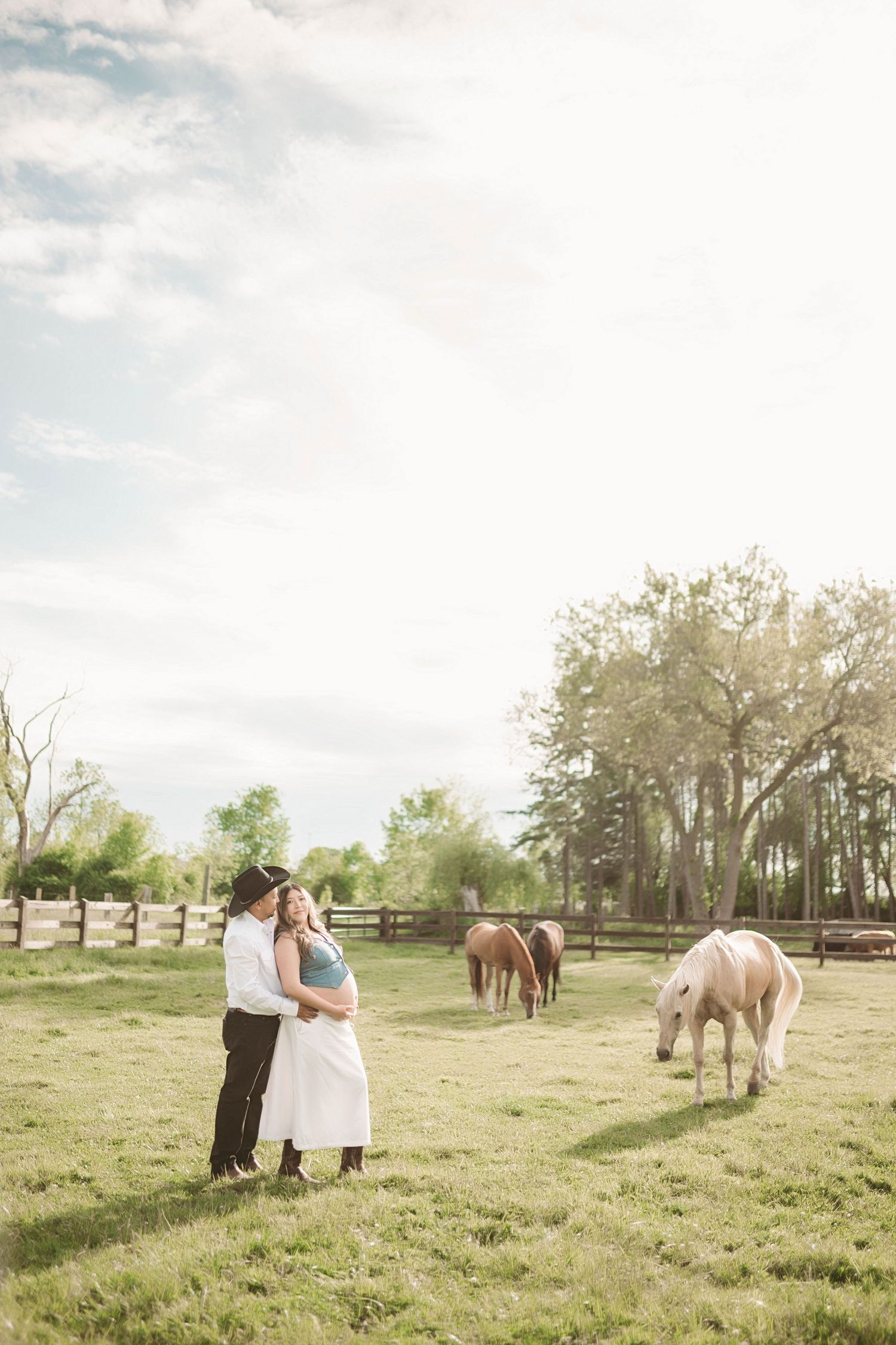 Couple embracing in a sunlit green pasture with horses grazing nearby, surrounded by trees and a white fence.