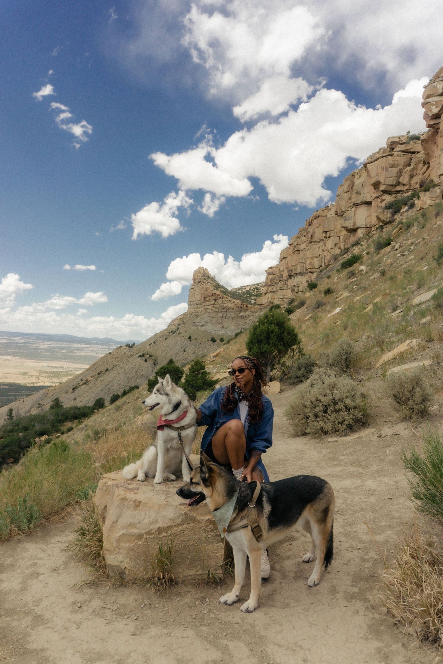 A husky dog and person hike along a scenic mountain trail overlooking a valley with white clouds in the blue sky.