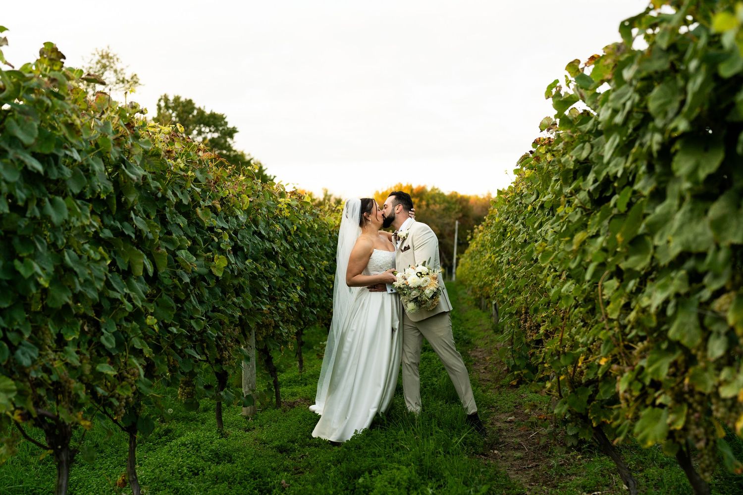 Couple shares an intimate moment between rows of grapevines at sunset.
