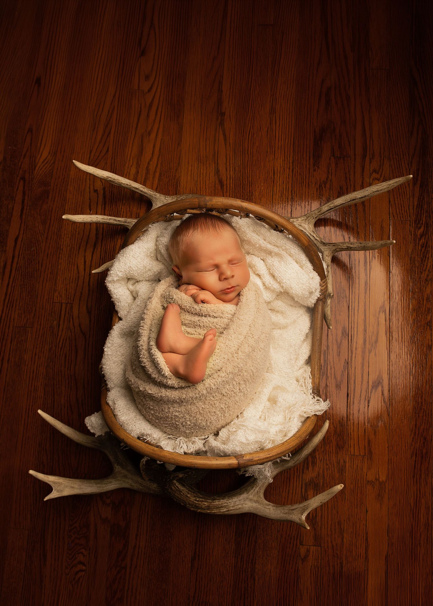 Posed Newborn Session in-studio in Peoria, IL