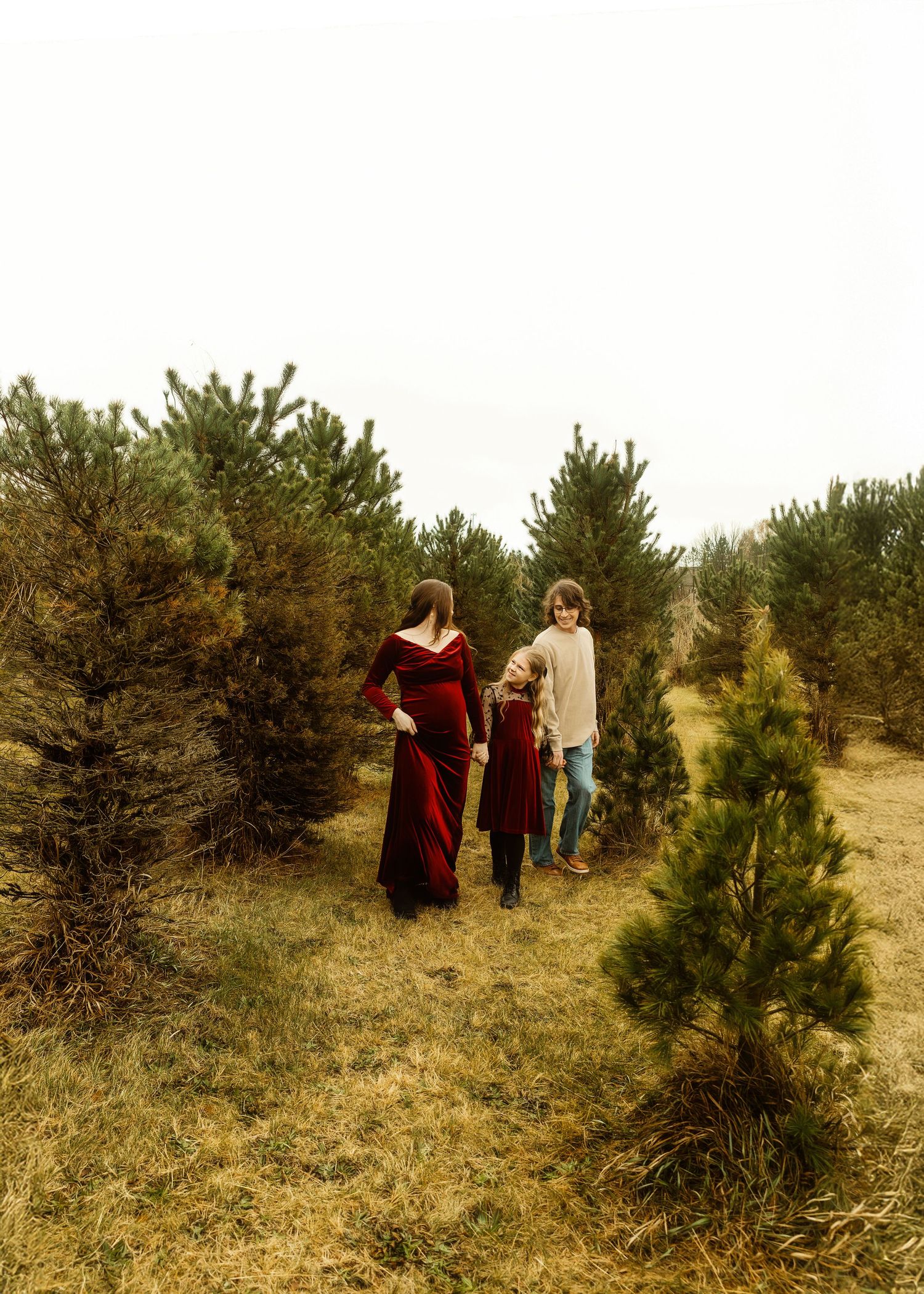 Christmas Tree farm family maternity session in Central IL