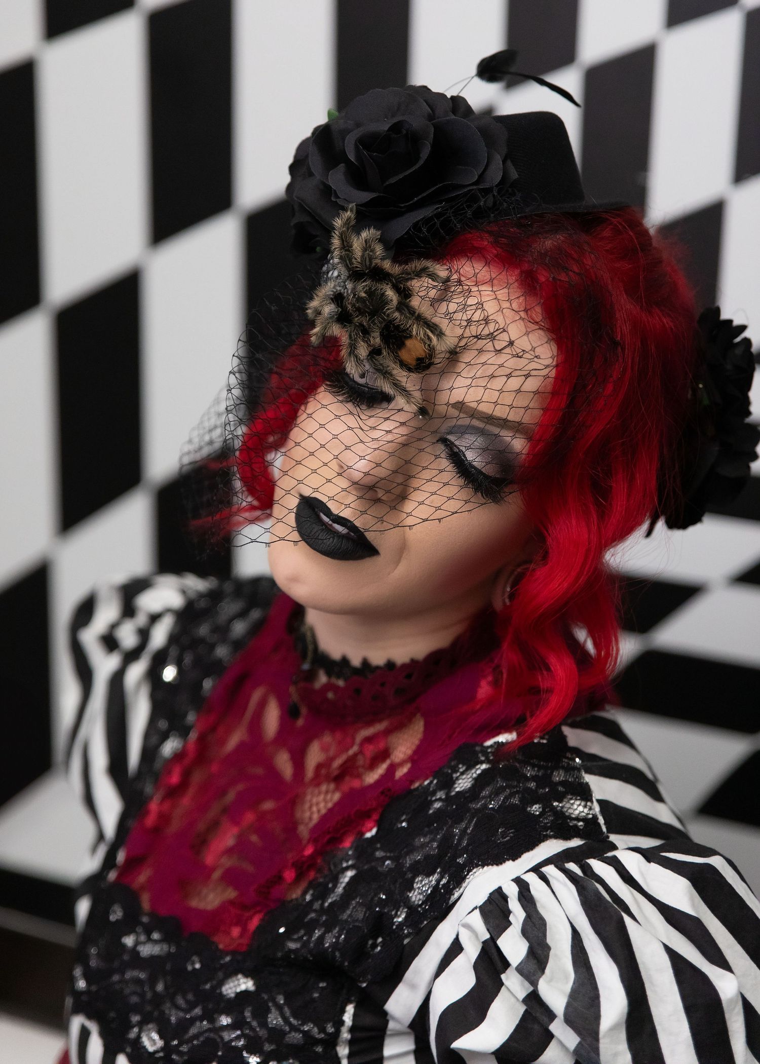 Portrait session with tarantula in studio in Chicago