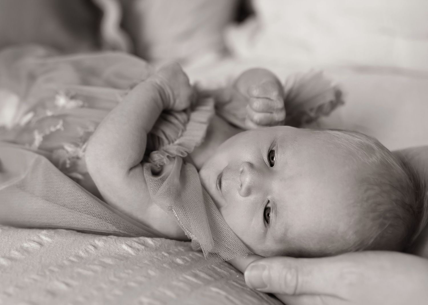 Lifestyle Newborn photoshoot in Central Illinois