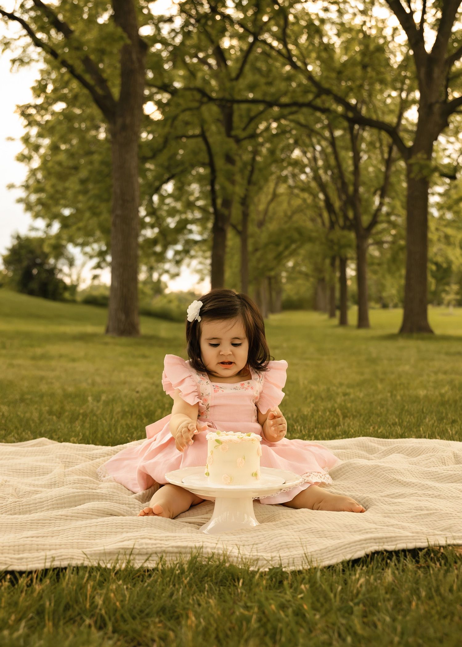 Cake Smash/1st birthday portrait session at St James Farm Forest Preserve in Warrenville