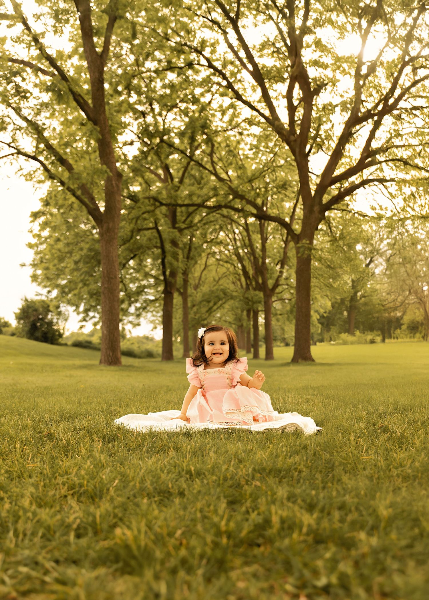 1st birthday portrait session at St James Farm Forest Preserve in Warrenville