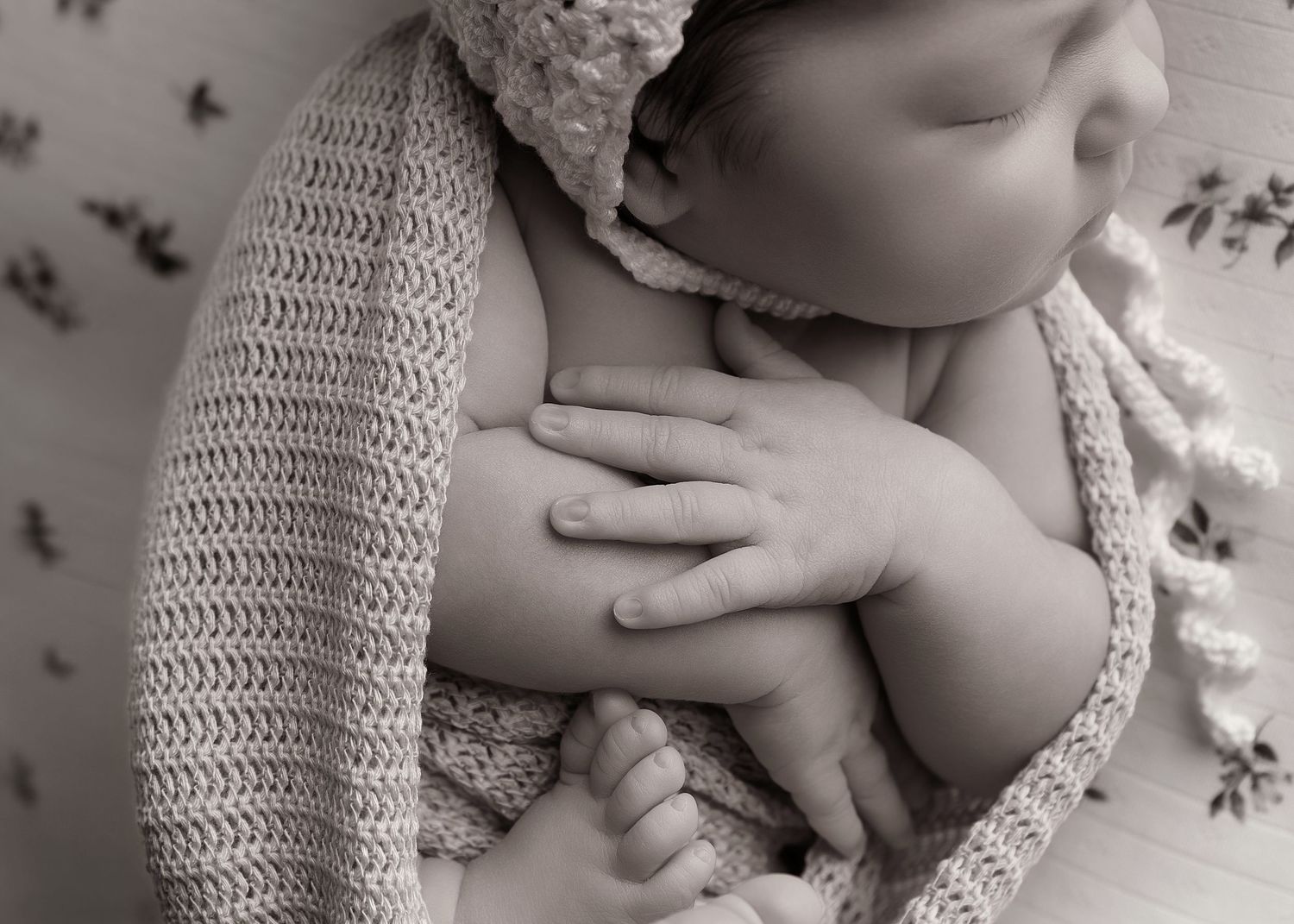 Posed newborn session in studio in Peoria, IL