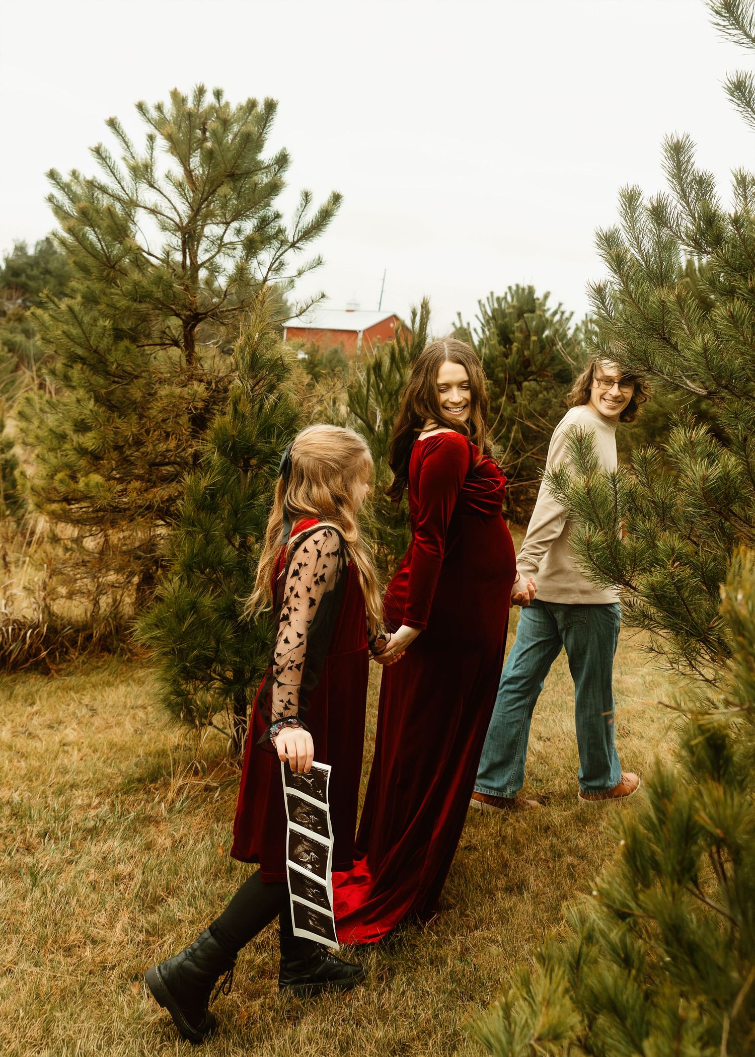 Christmas Tree farm family maternity session in Central IL