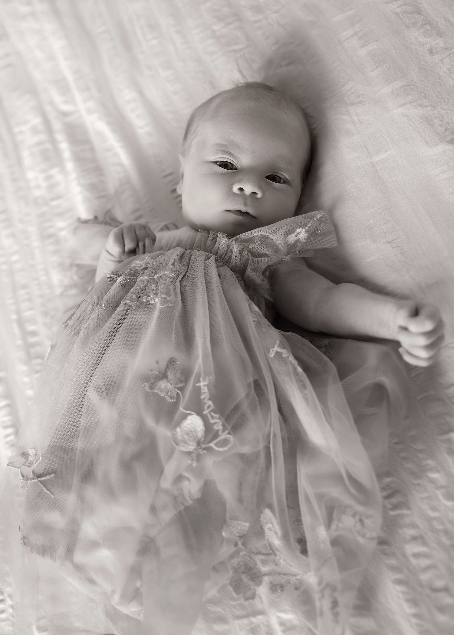 Lifestyle Newborn photoshoot in Central Illinois