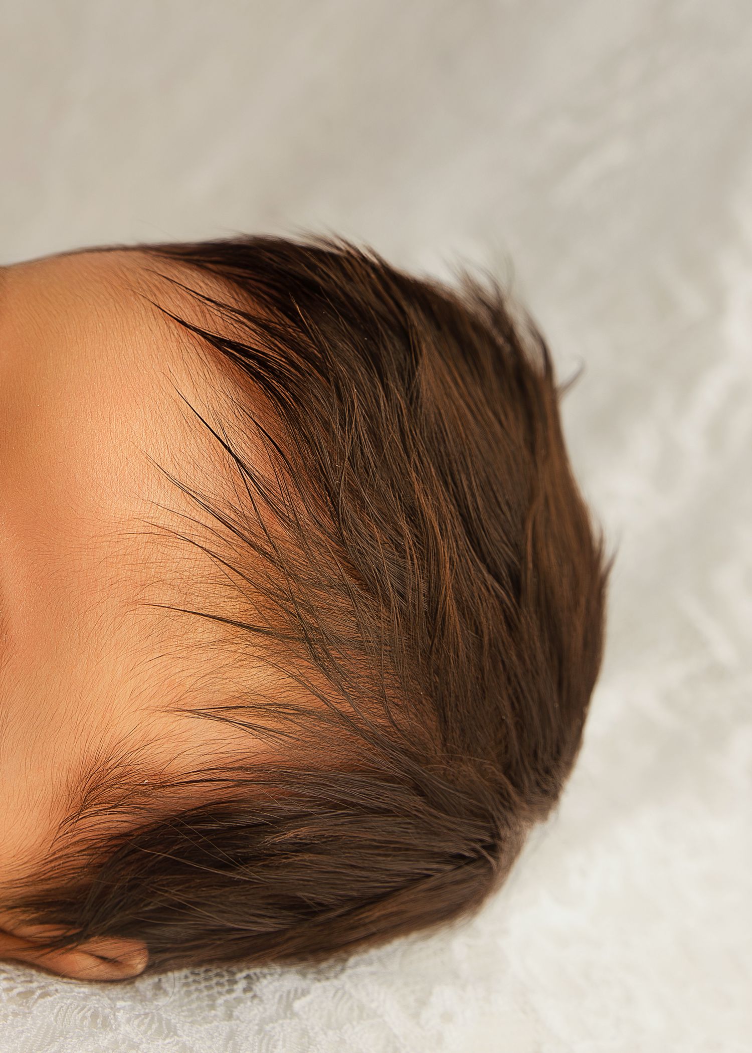 Posed Newborn Session in studio in Peoria, IL