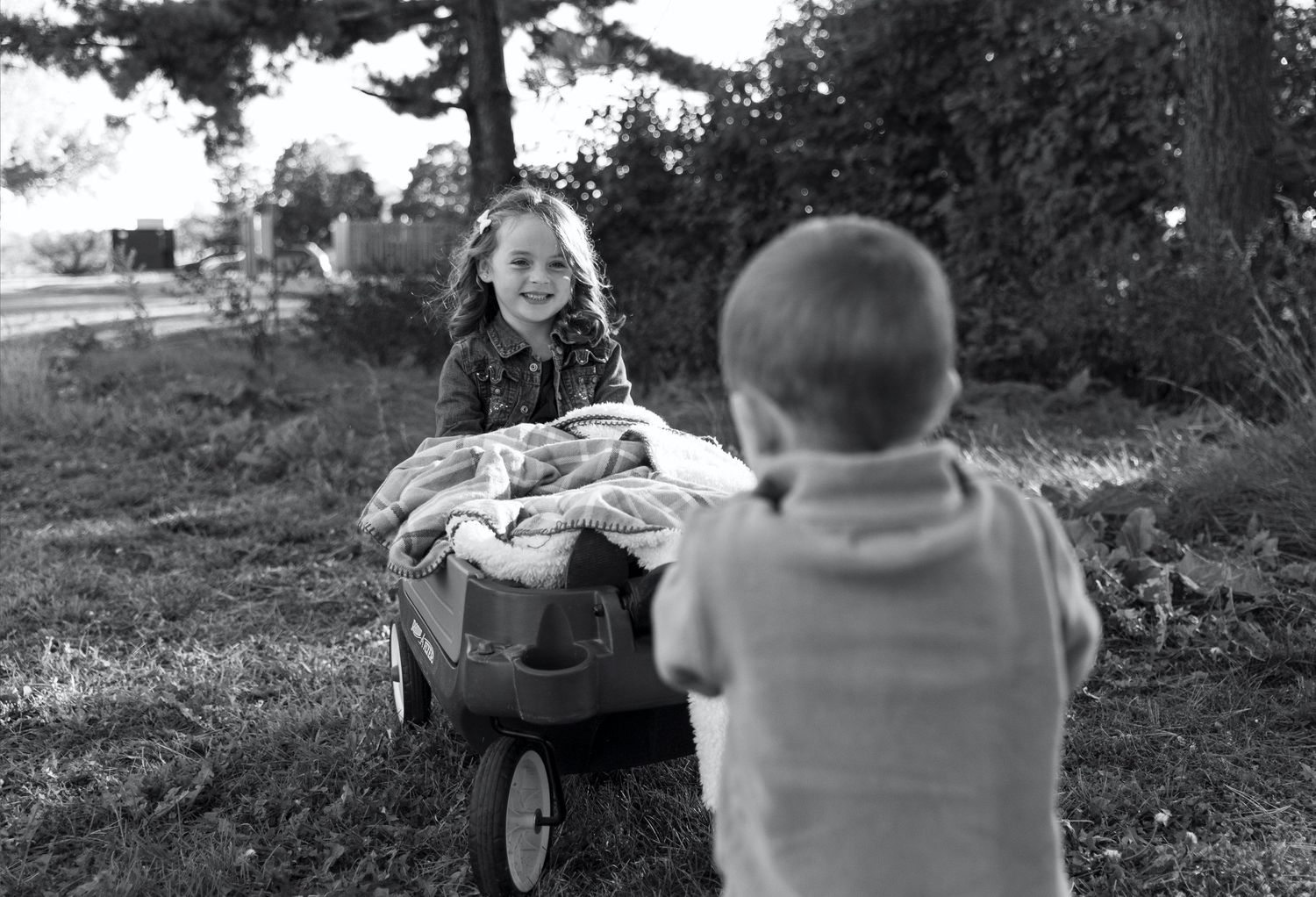 Family portrait session at Donovan Park in Peoria, IL