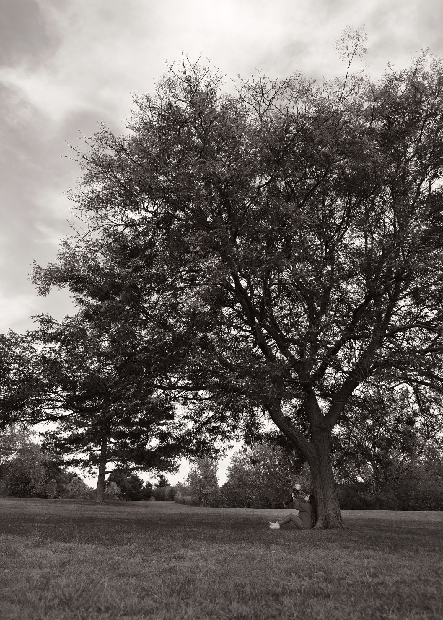 Fall family session at Donovan Park in Peoria, IL