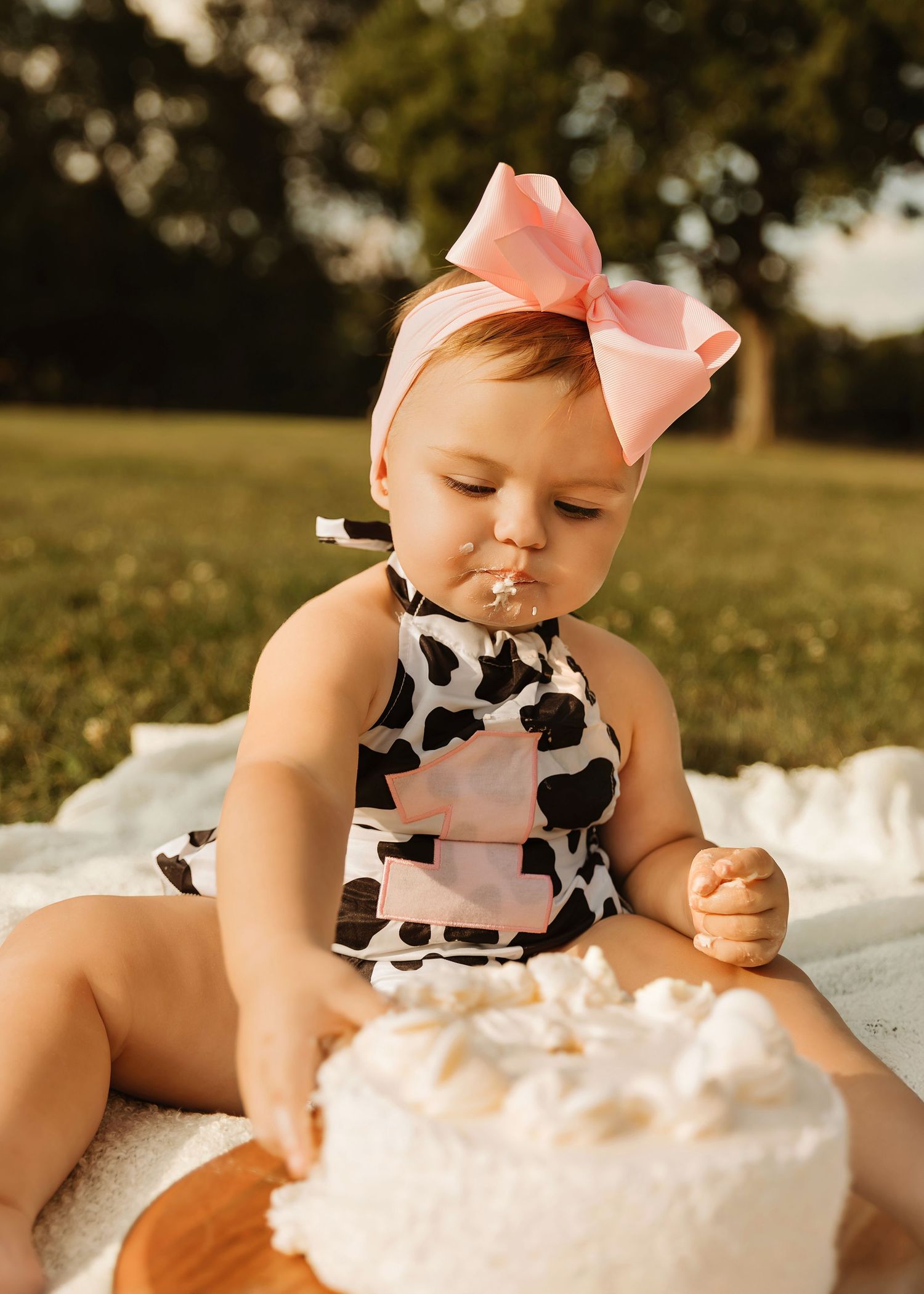 Cake Smash/First birthday portrait session in Chicago