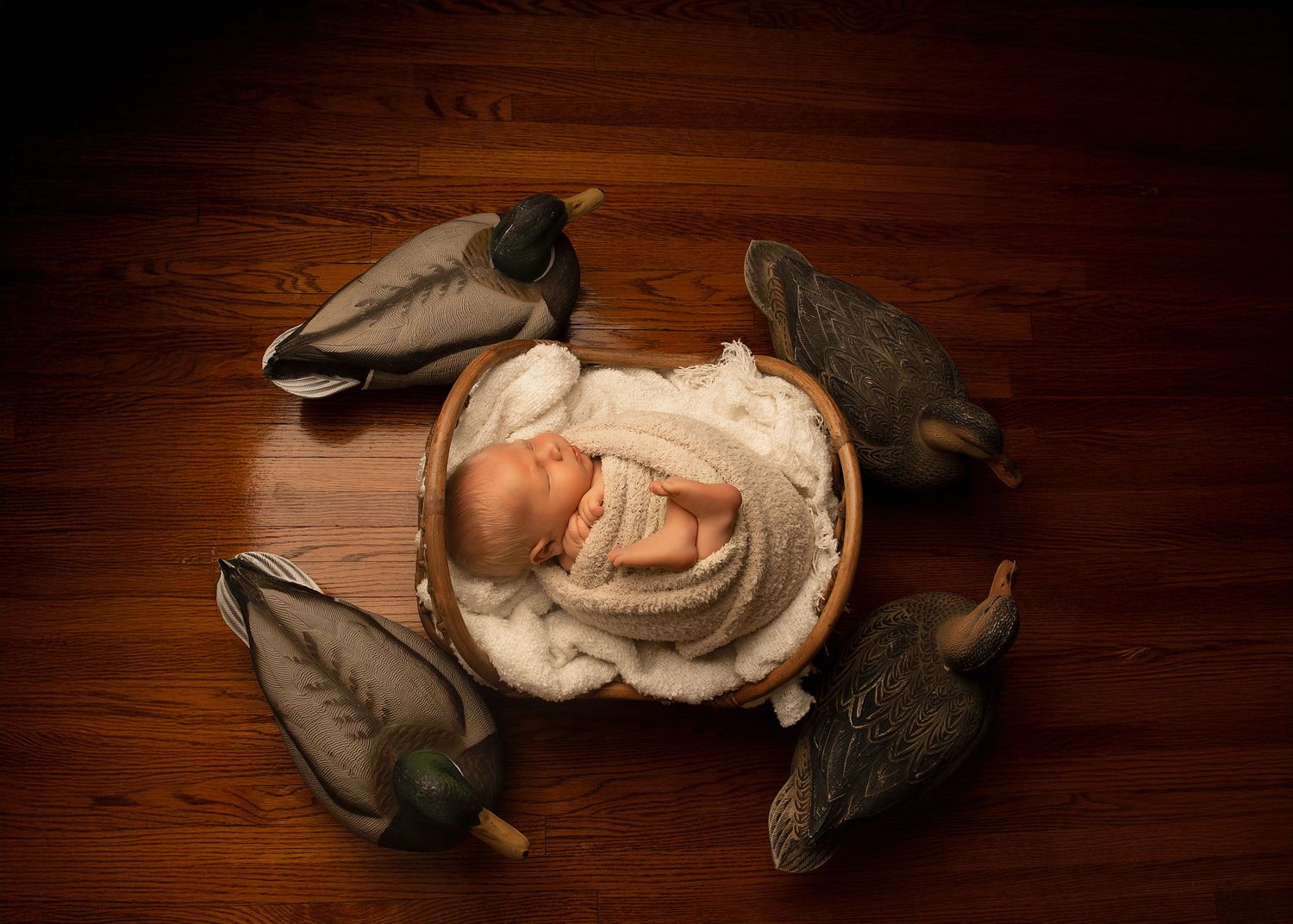Posed Newborn Session in-studio in Peoria, IL