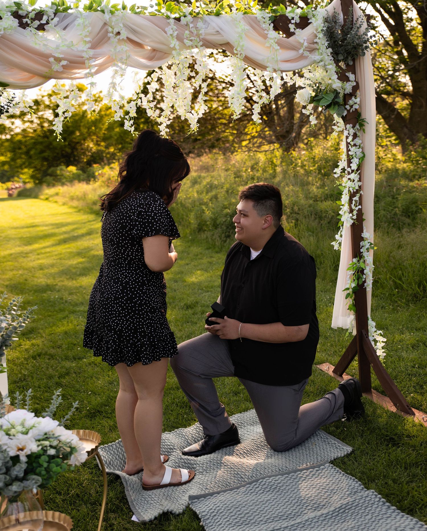 Proposal photography at Donovan Park in Peoria, IL