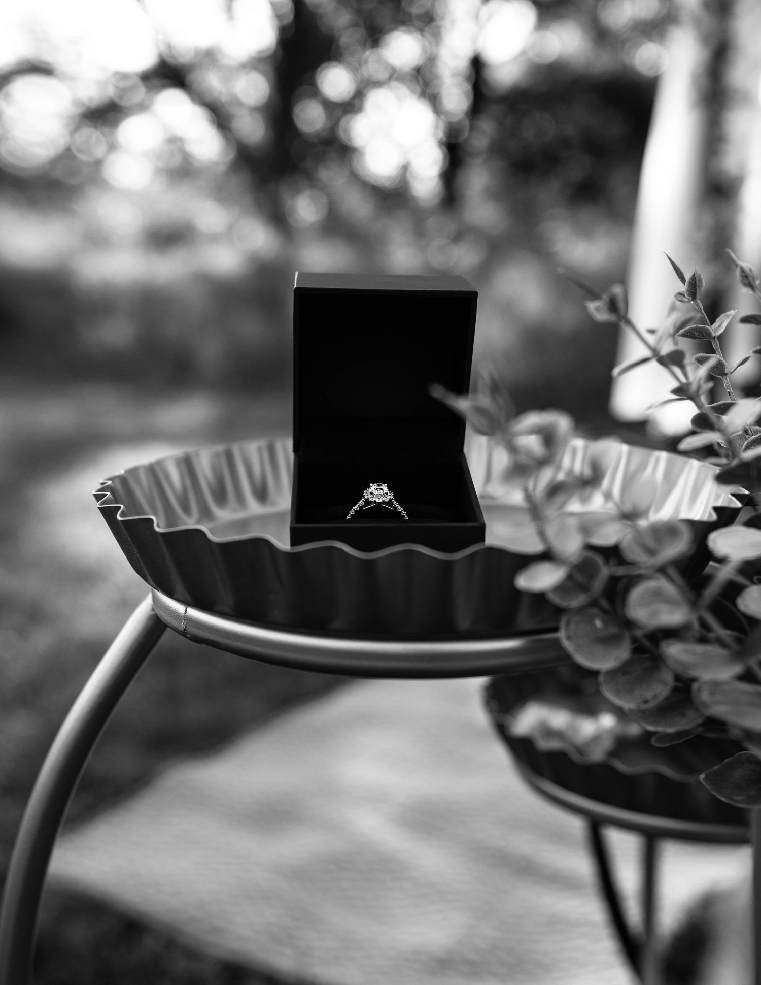 Detail shot of ring during proposal session at Donovan Park in Peoria Illinois