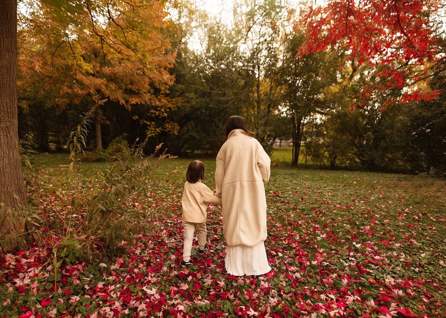 Fall family session in Chicago, IL