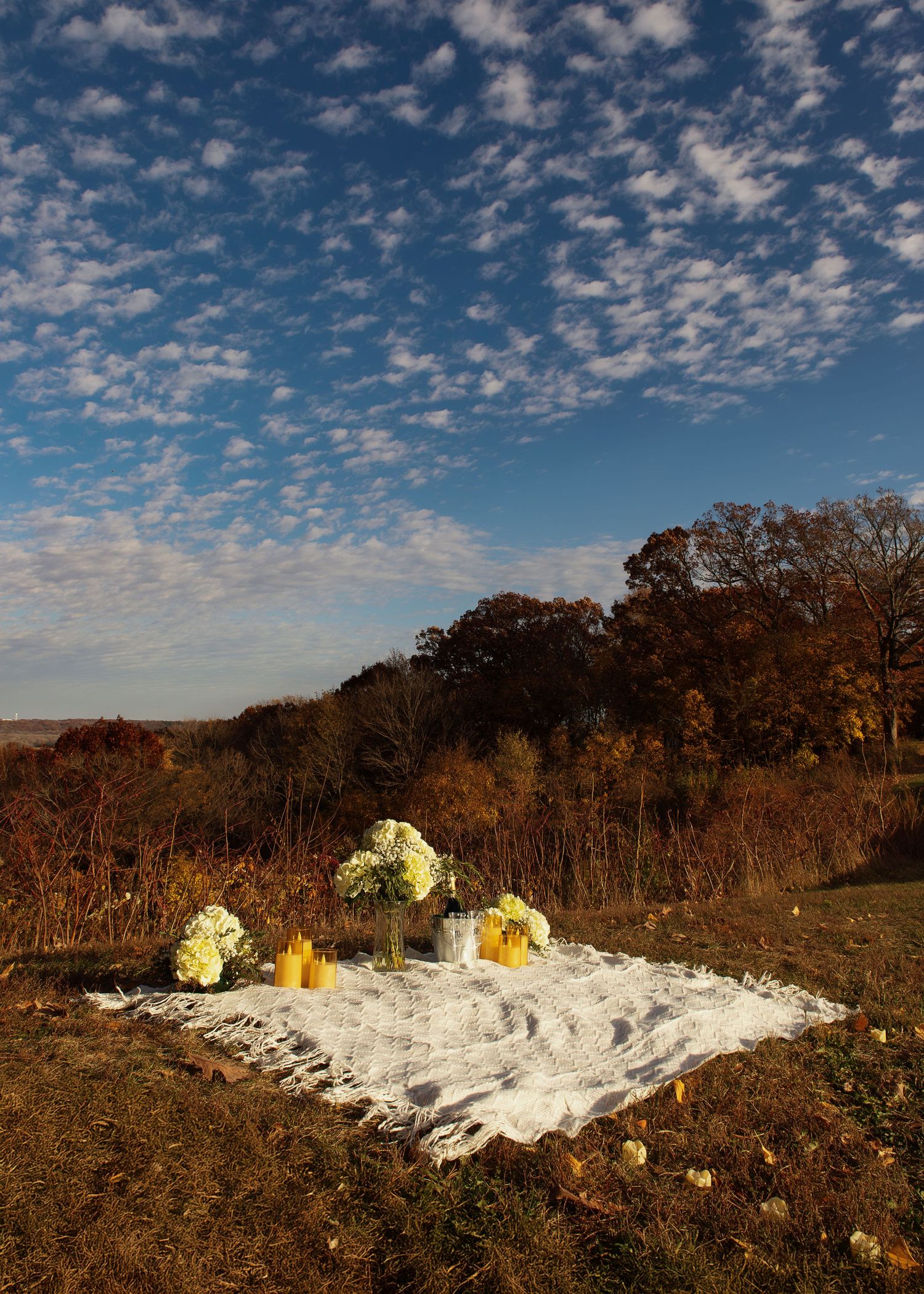 Proposal photo on Grandview Drive in Peoria, IL